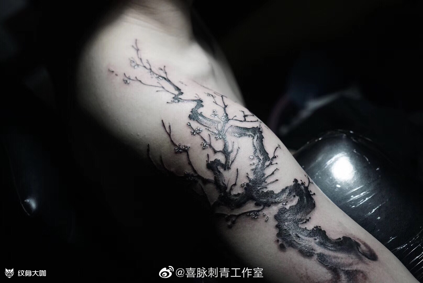 梅花_纹身图案手稿图片_二喜的纹身作品集