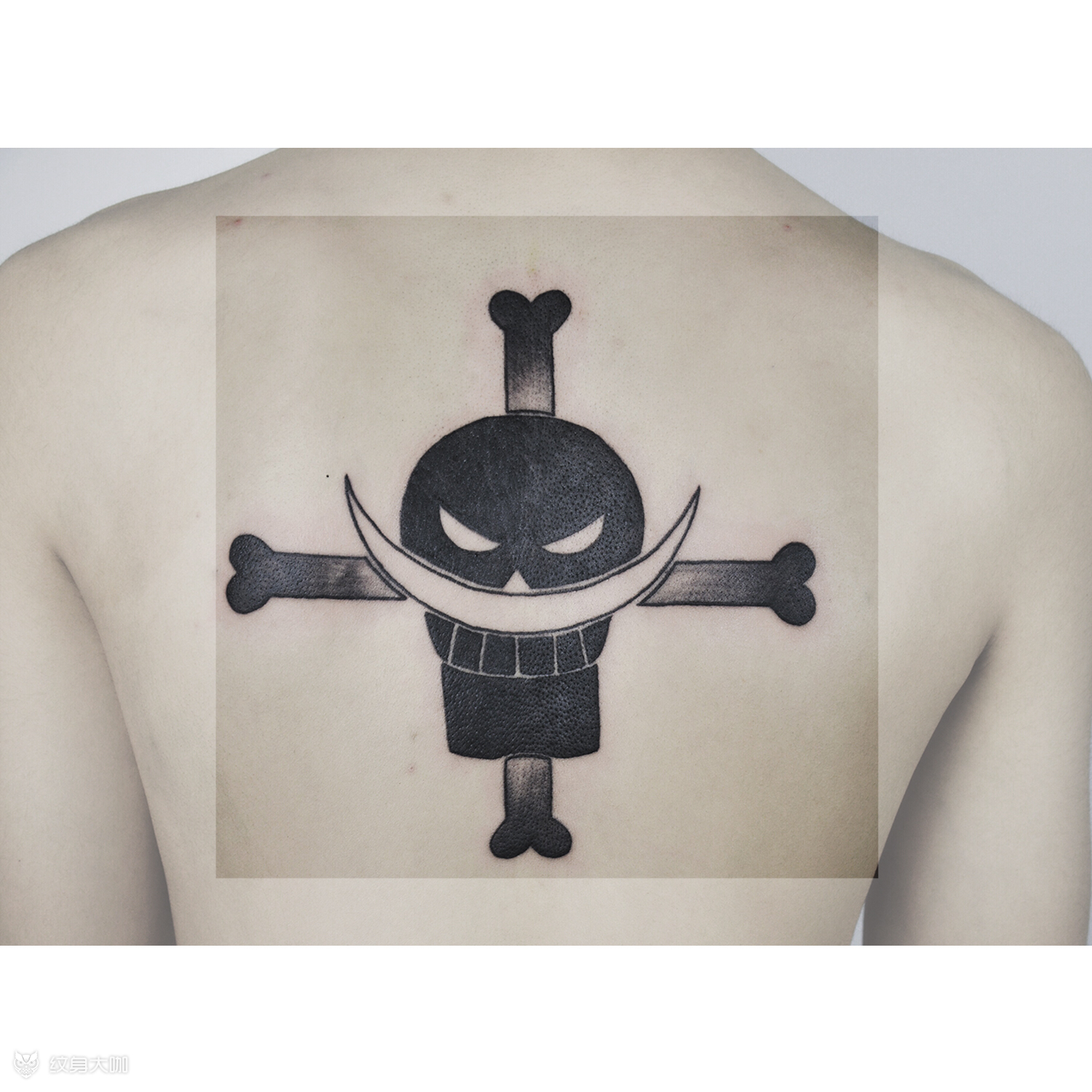 海贼王人物的各种纹身图片