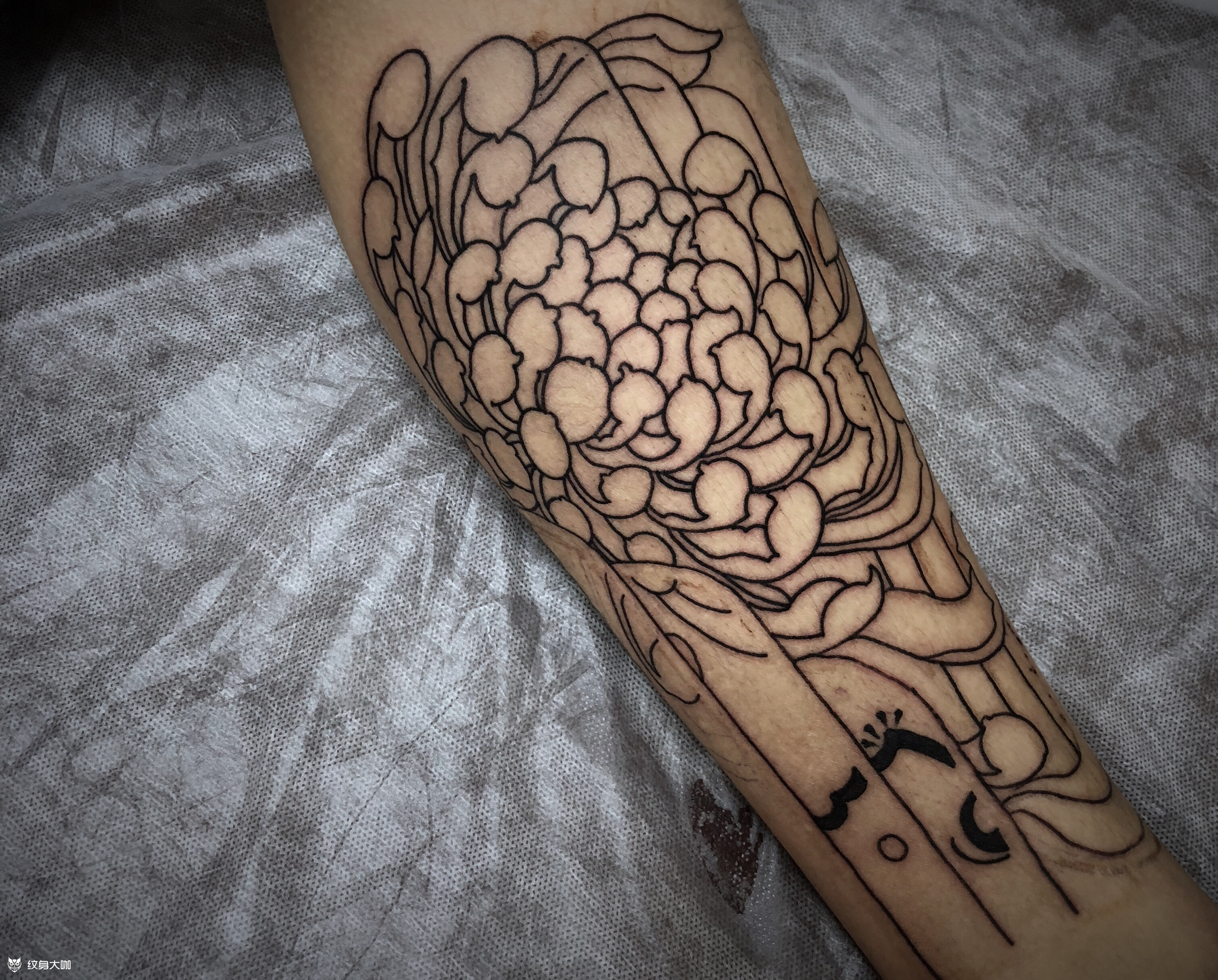 老传统菊花线条部分_纹身图案手稿图片_晓珑ink的纹身作品集