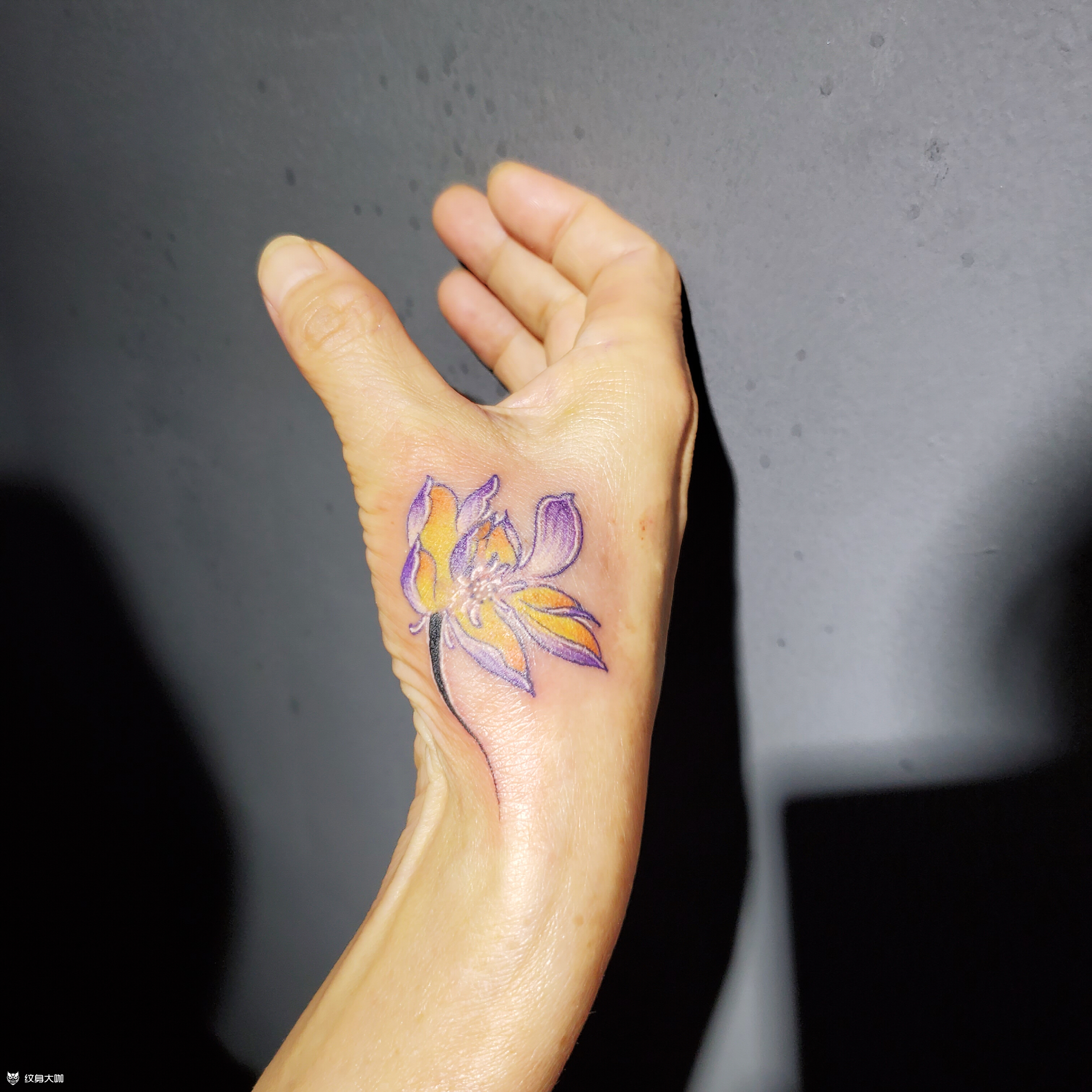 莲花遮疤_纹身图案手稿图片_墨 者刺 青的纹身作品集