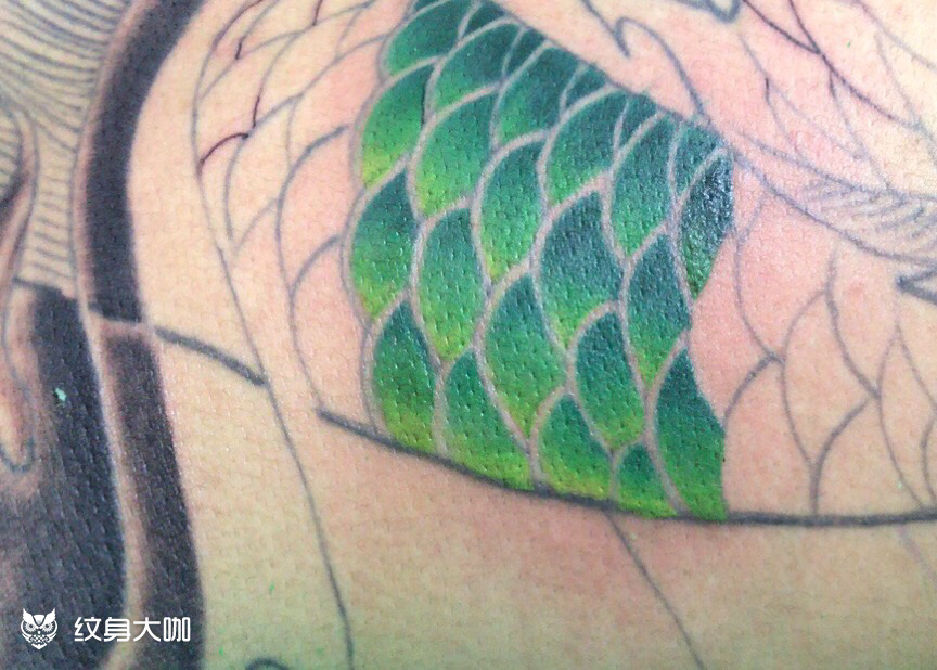 鱼鳞_纹身图案手稿图片_杨金林的纹身作品集