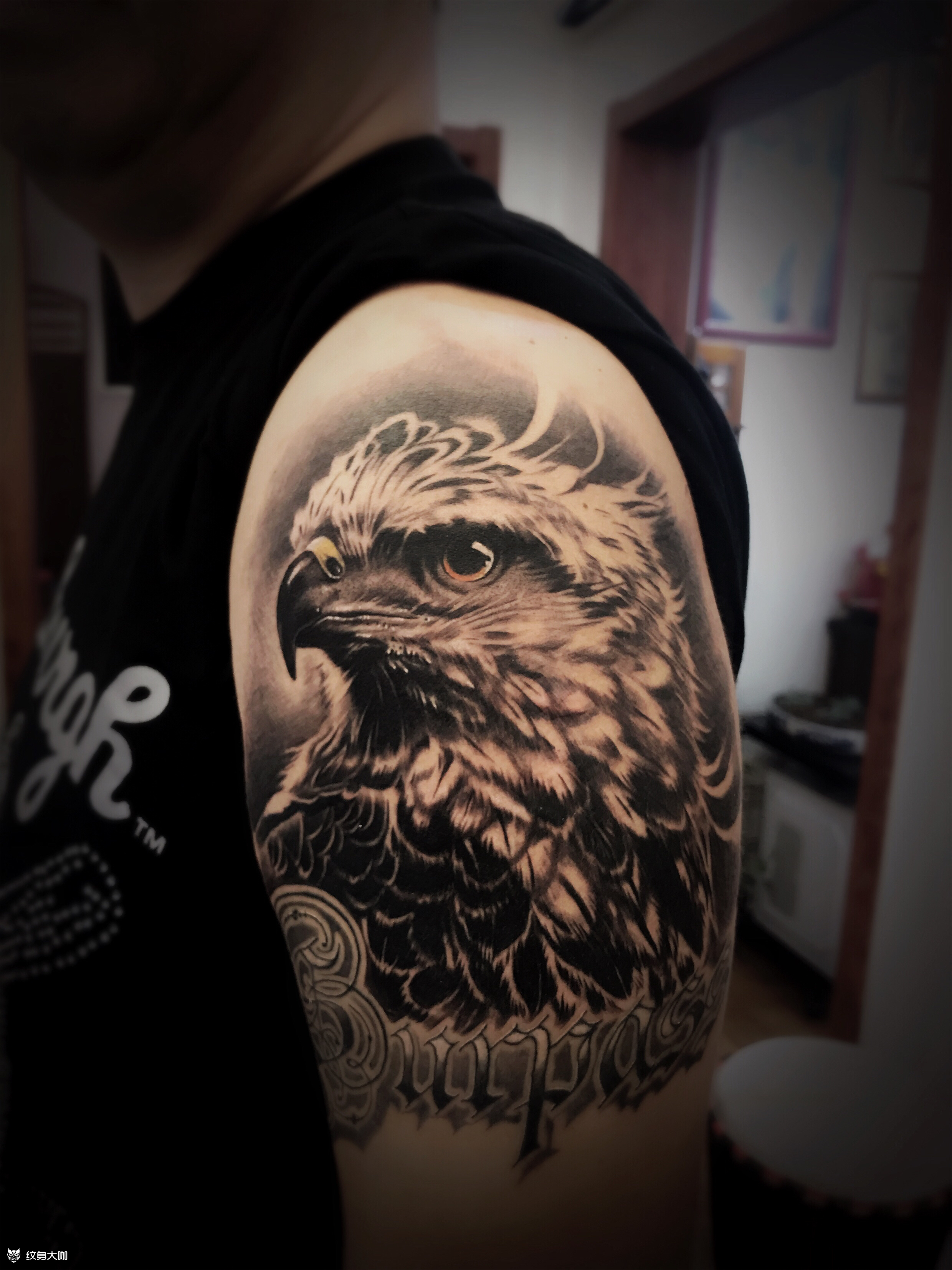 老鹰纹身图案半臂图片