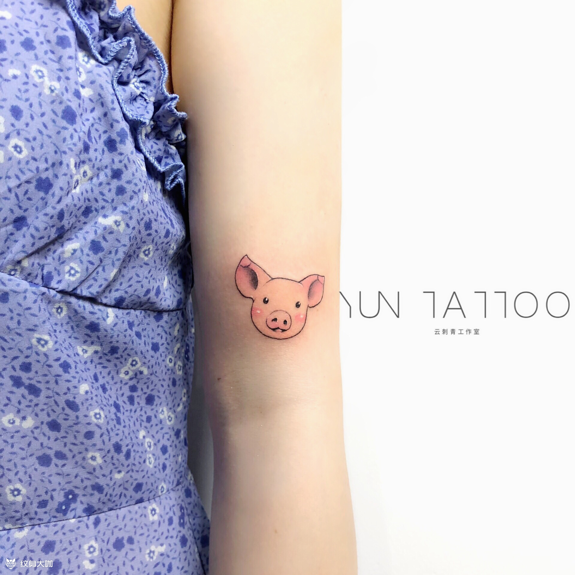 小猪头_纹身图案手稿图片_·斌的纹身作品集