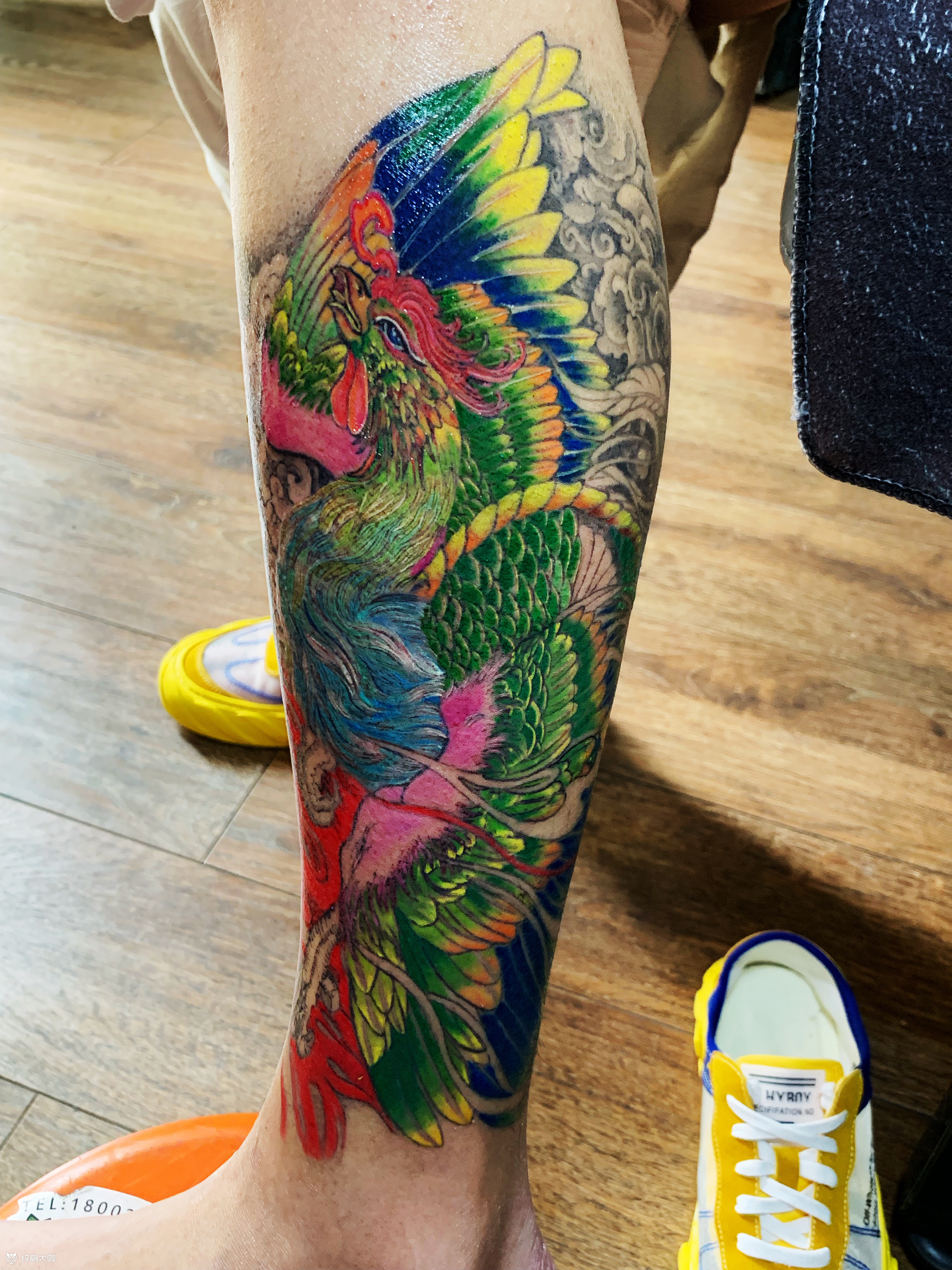 凤凰_纹身图案手稿图片_coco的纹身作品集