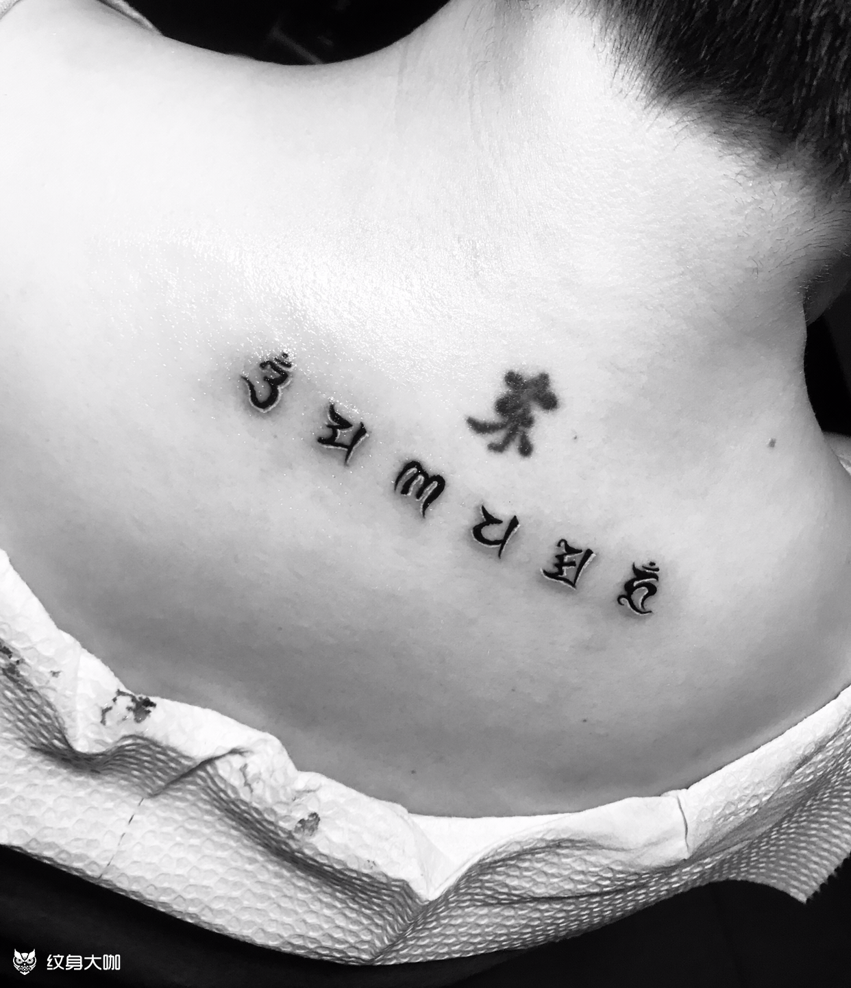 六字箴言梵文_纹身图案手稿图片_展干的纹身作品集