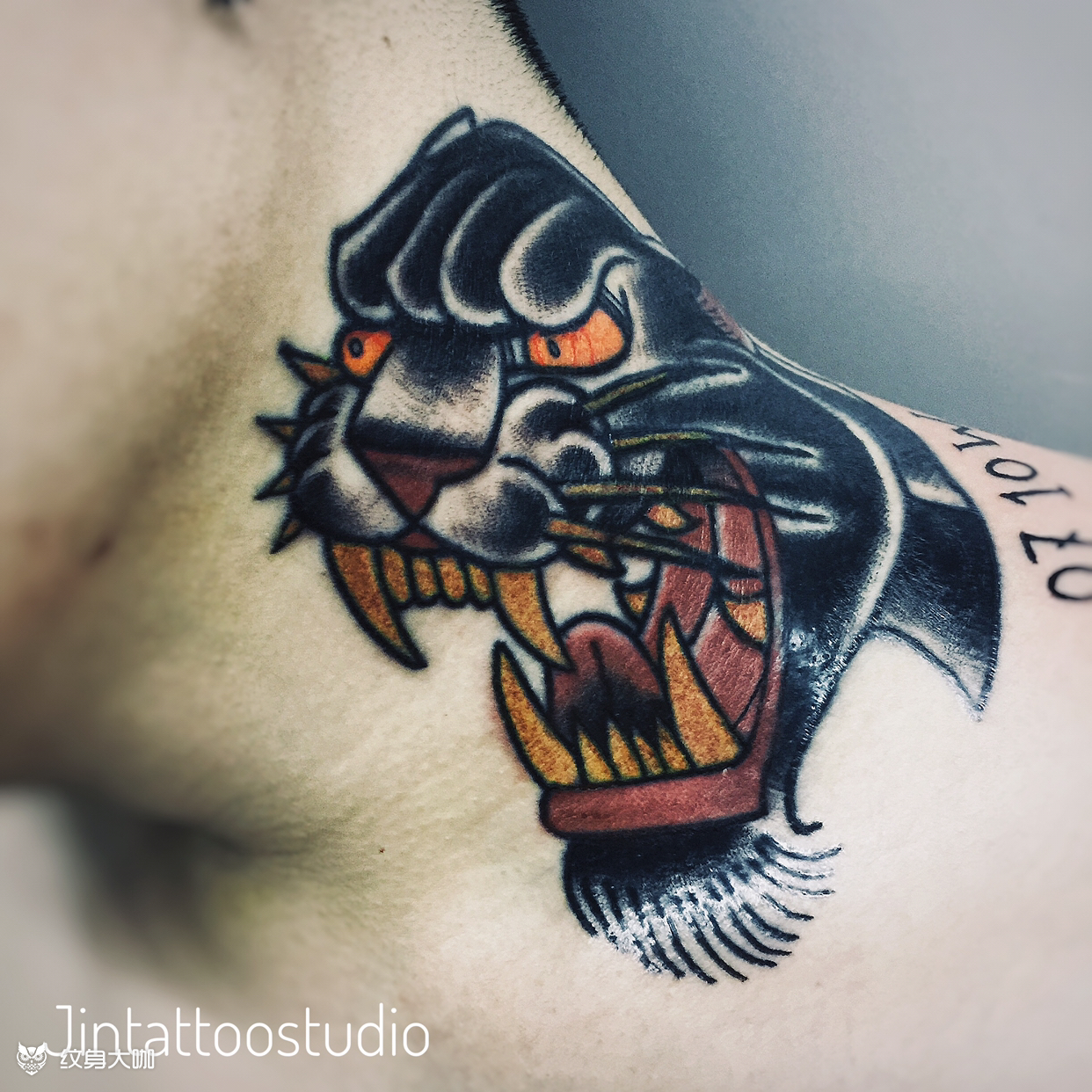 爆脖子oldschool黑豹