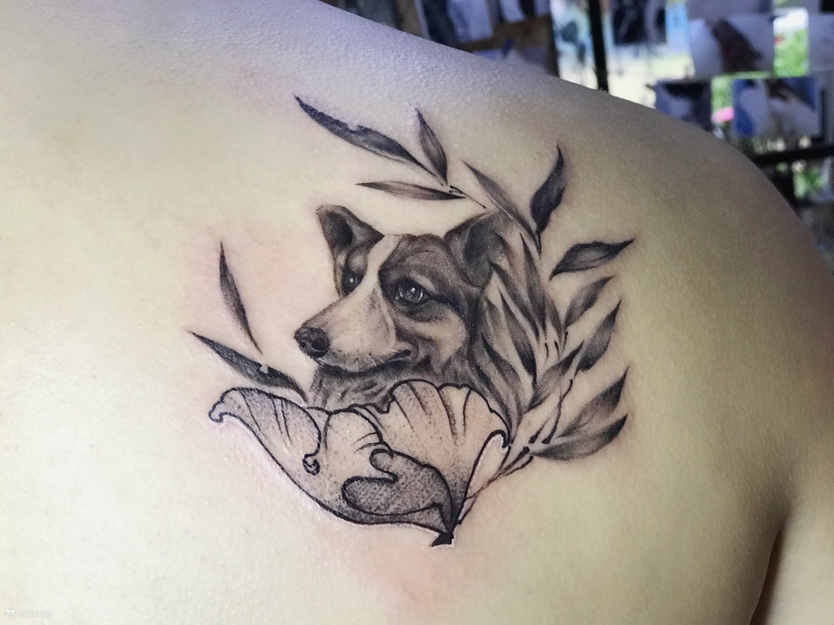宠物柯基纹身_纹身图案手稿图片_楠柯的纹身作品集