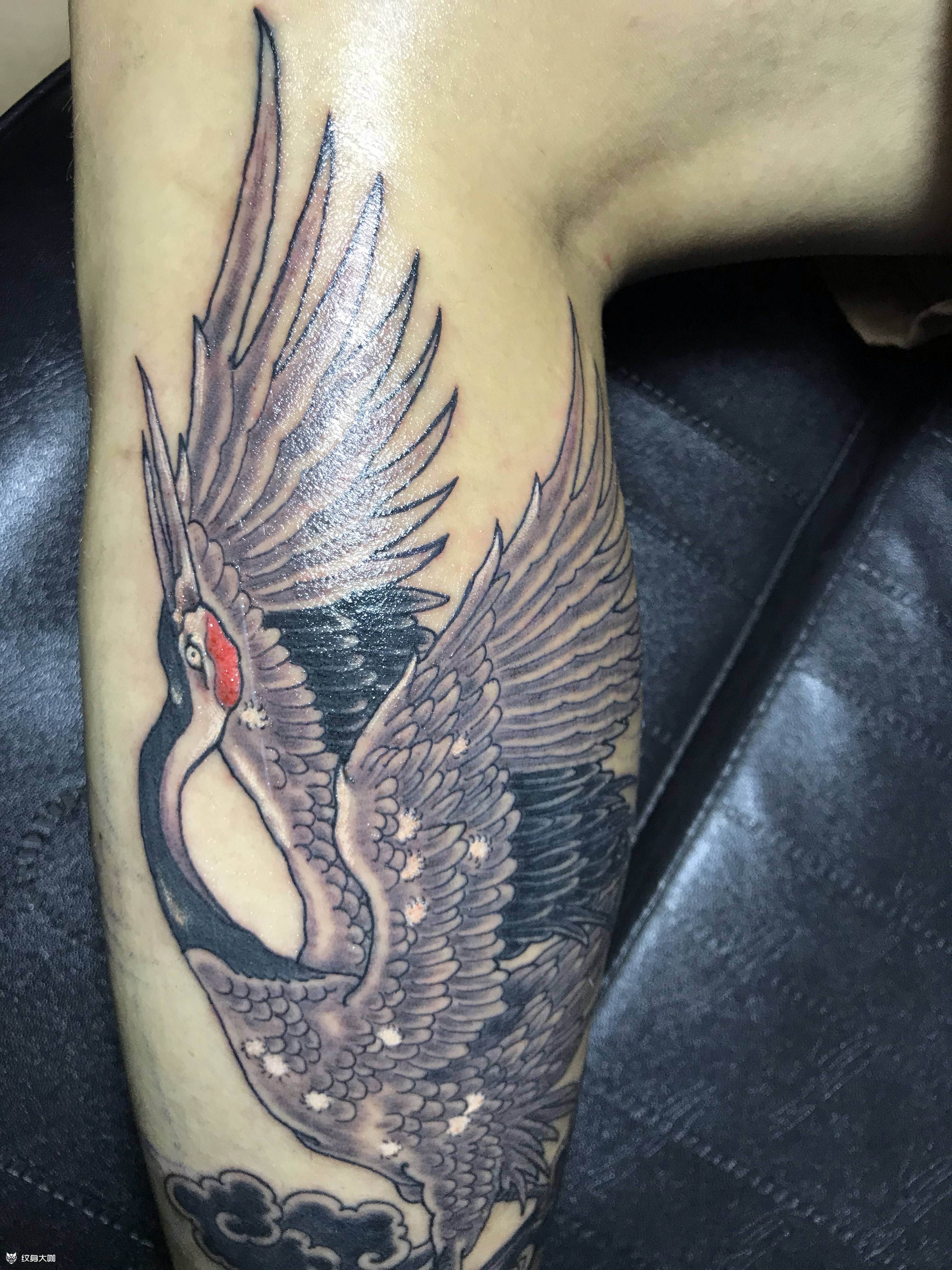 云鹤_纹身图案手稿图片_马云龙的纹身作品集