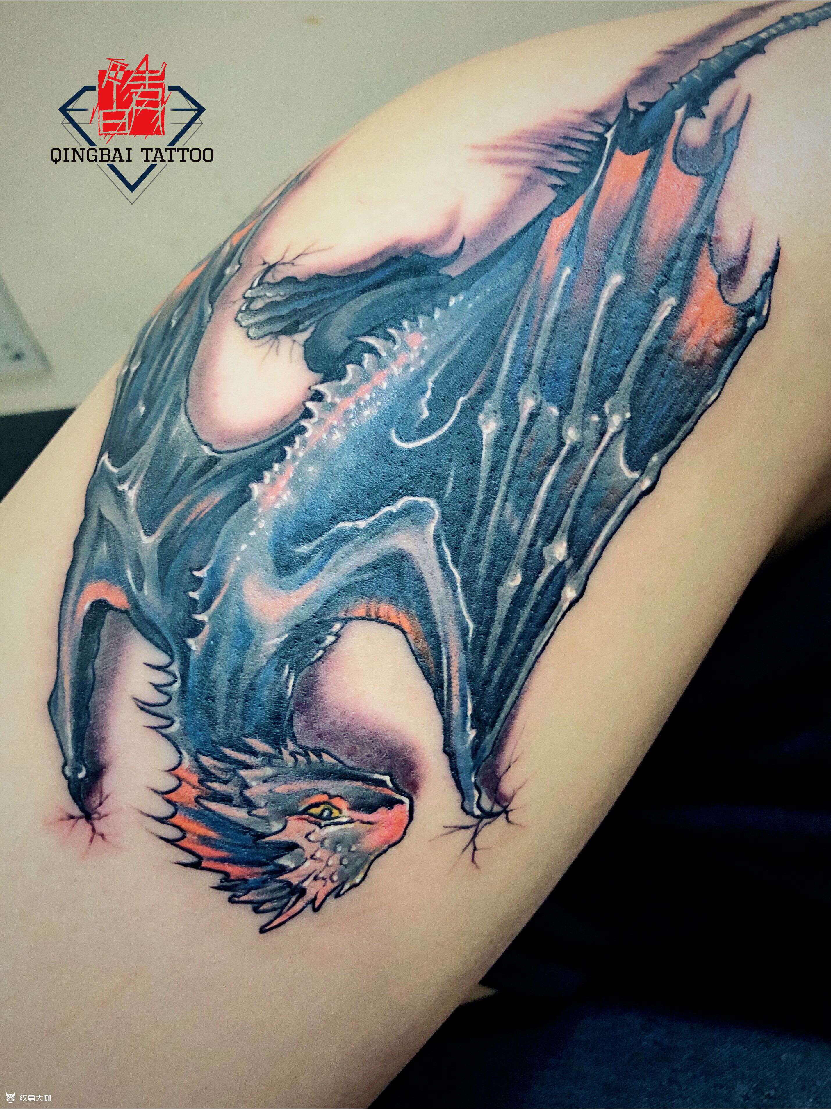 西方龙……_纹身图案手稿图片_邱飘的纹身作品集