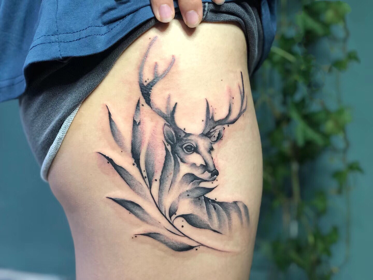 鹿_纹身图案手稿图片_茉莉的纹身作品集