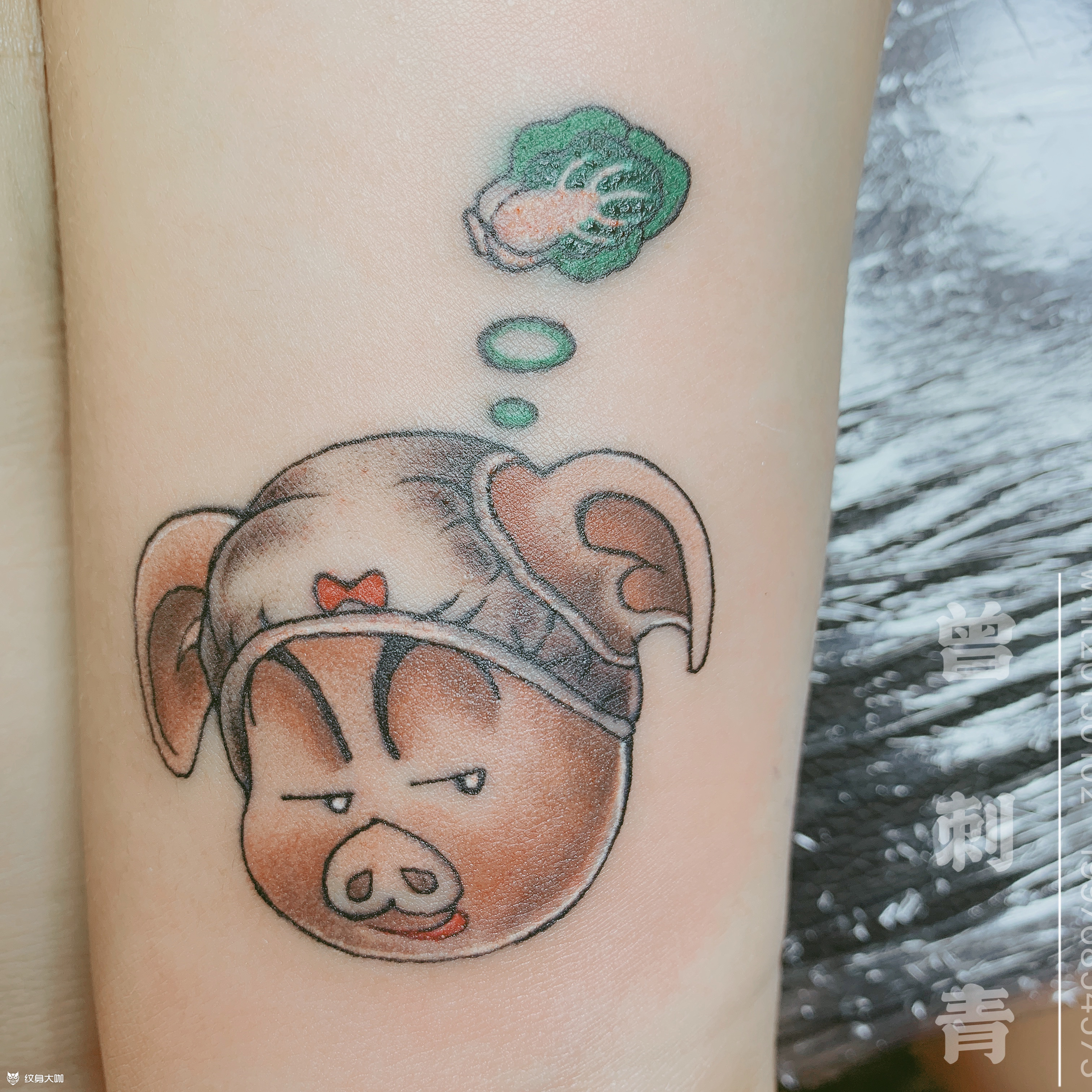 猪拱白菜_纹身图案手稿图片_曾乐的纹身作品集