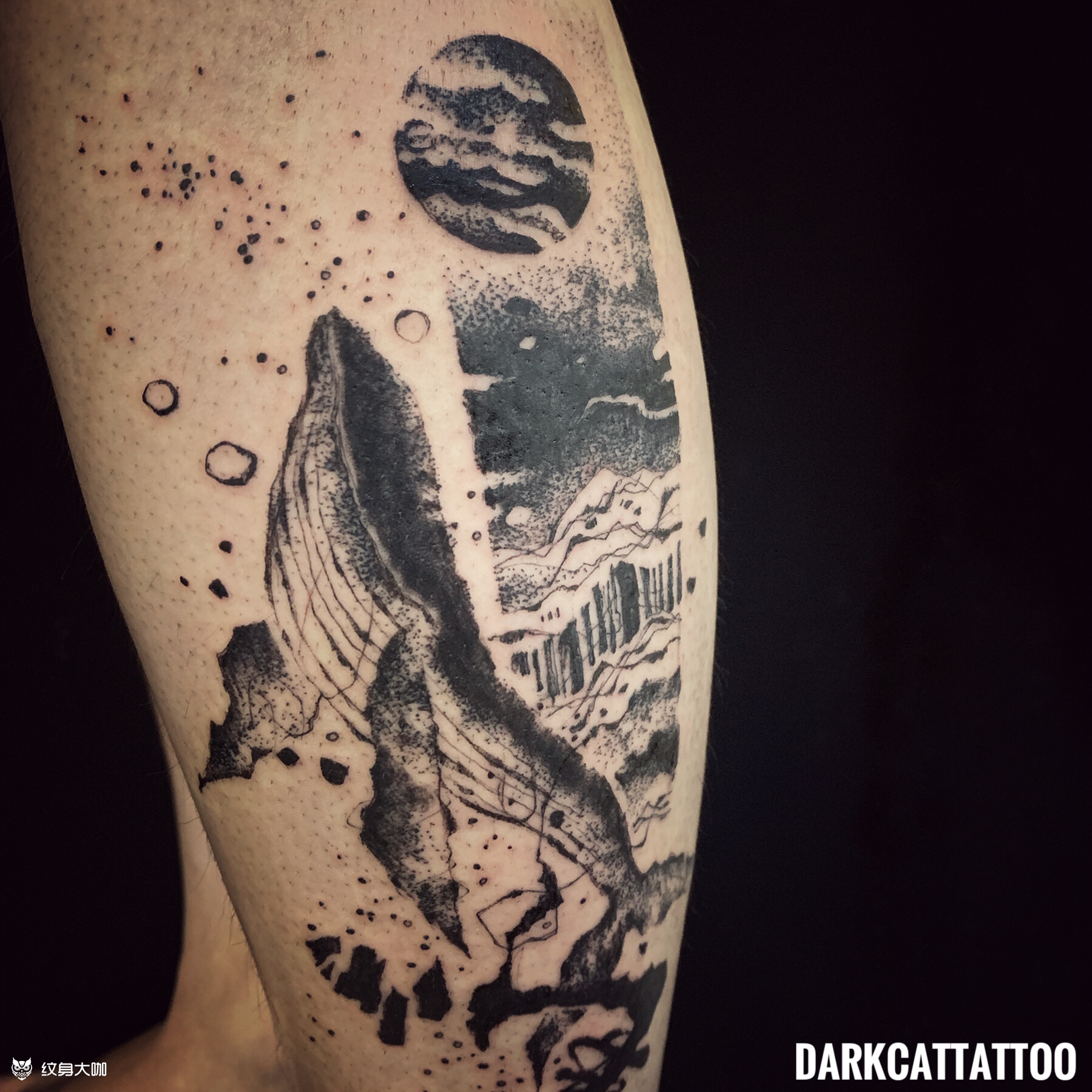 52赫兹的鲸鱼95_纹身图案手稿图片_广州黑猫926989大俊的纹身