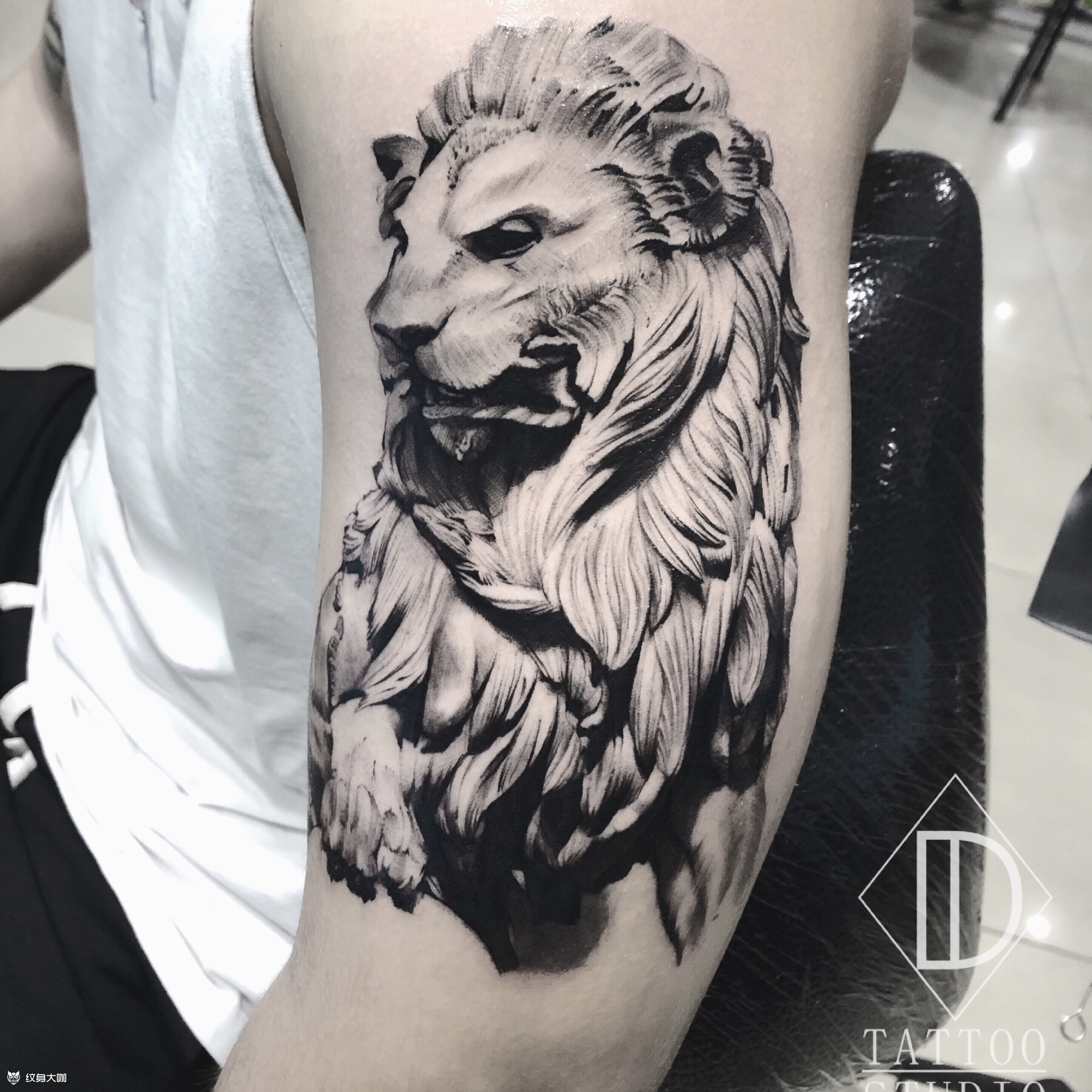 胸口狮子纹身手稿图片
