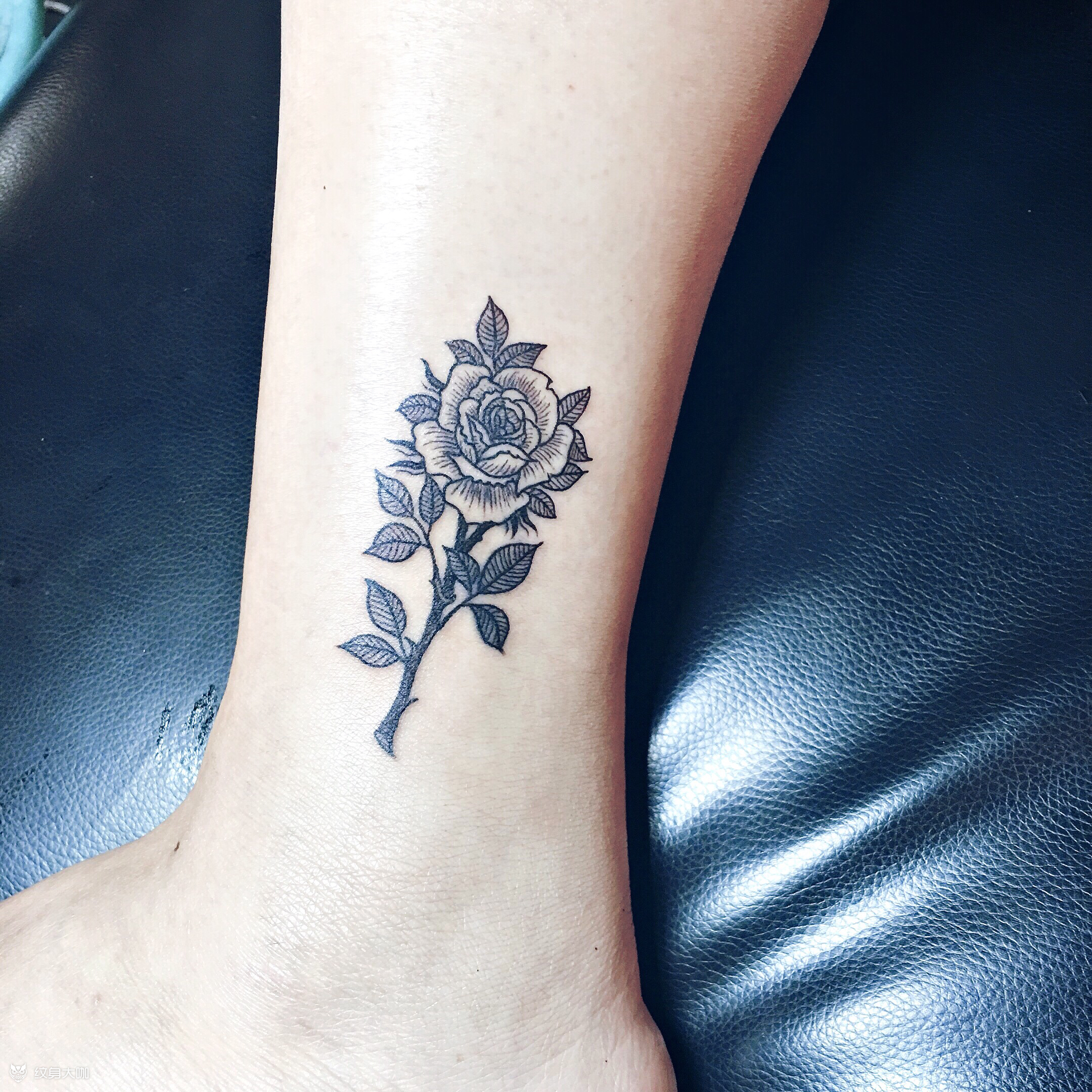 脚踝玫瑰花_纹身图案手稿图片_x-mengy的纹身作品集