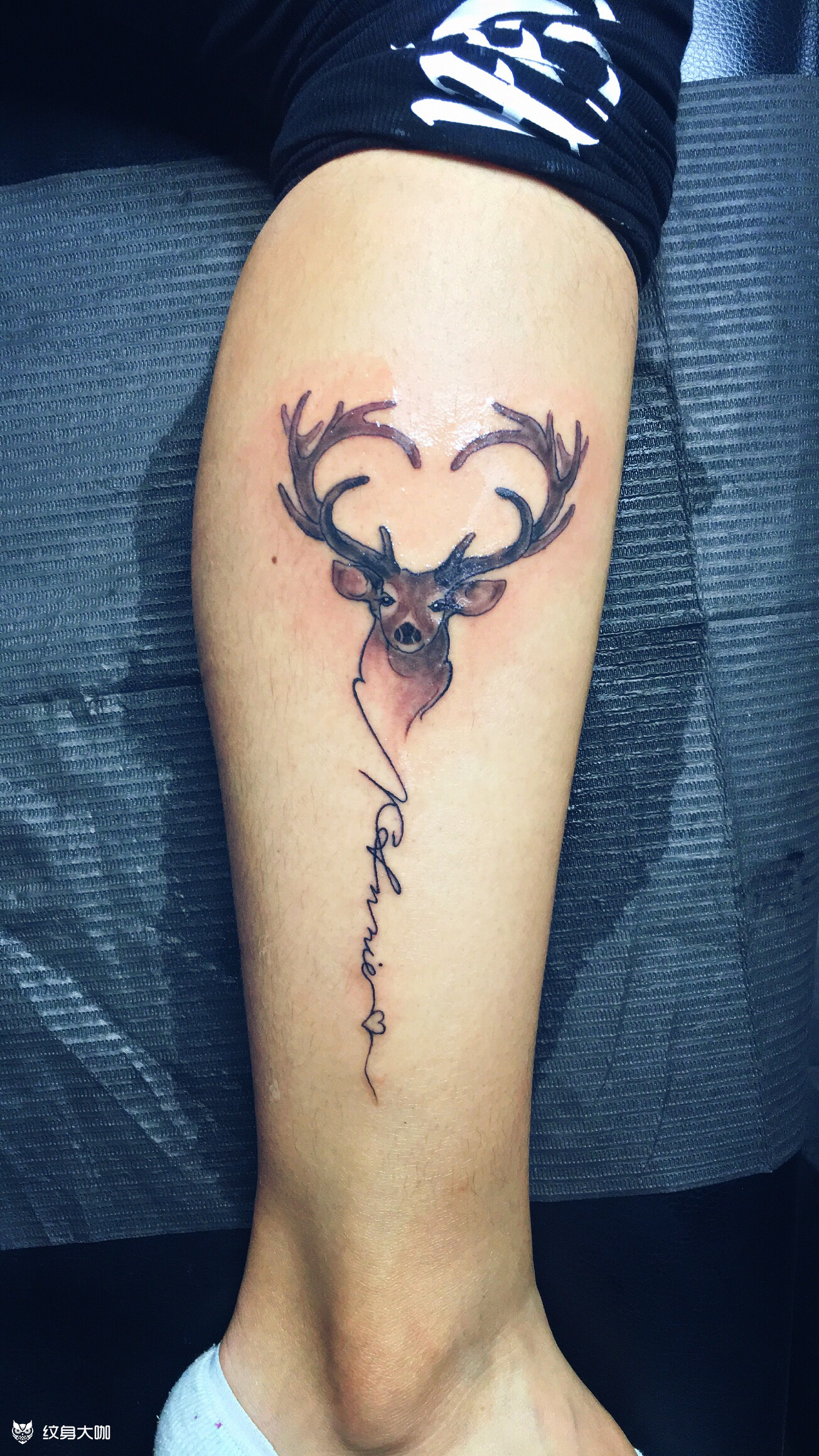 小清新麋鹿和英文_纹身图案手稿图片_x-mengy的纹身作品集
