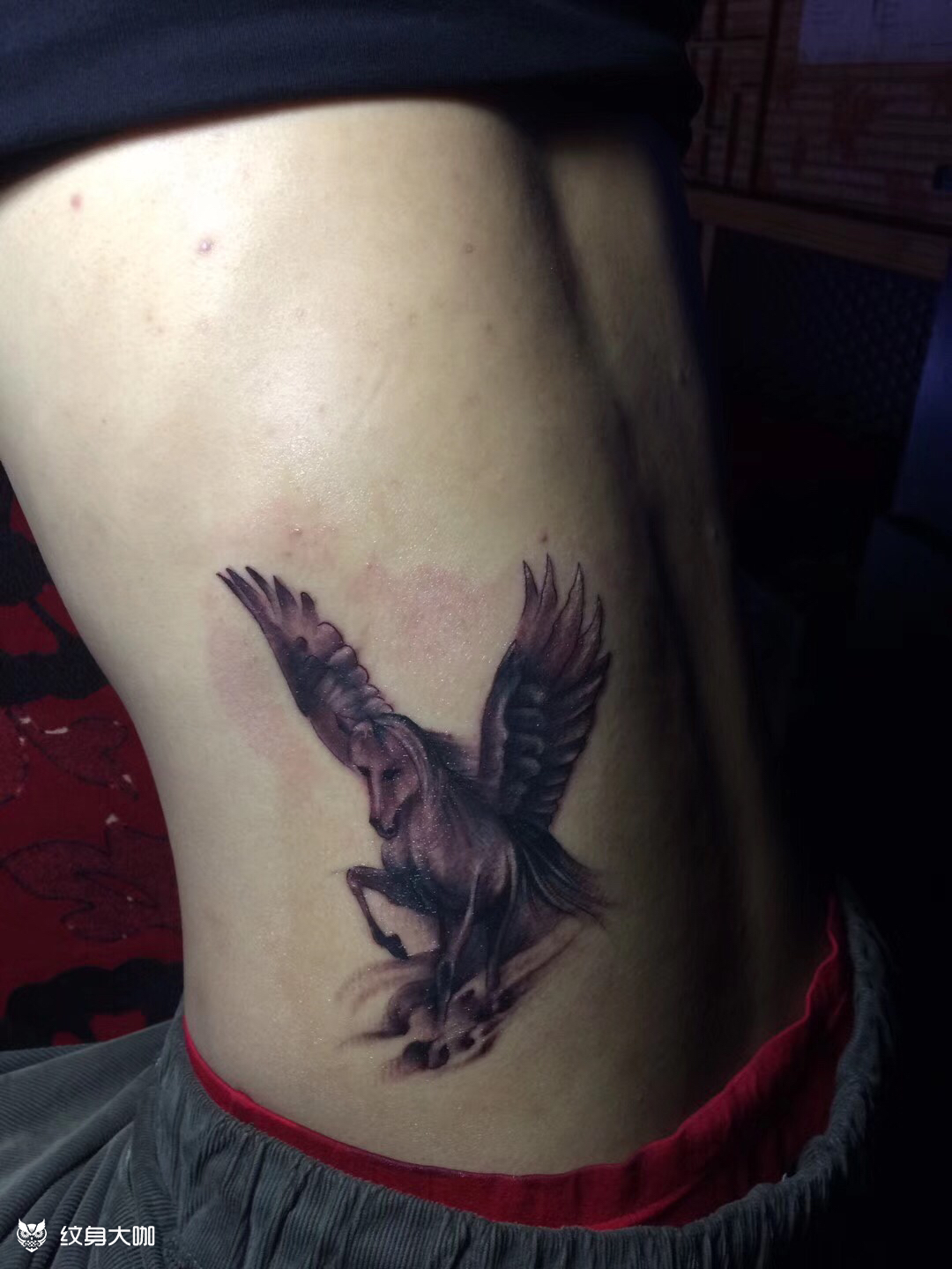 天马_纹身图案手稿图片_杨子的纹身作品集