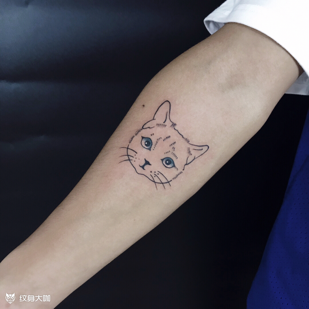 猫咪纹身_纹身图案手稿图片_虫一的纹身作品集