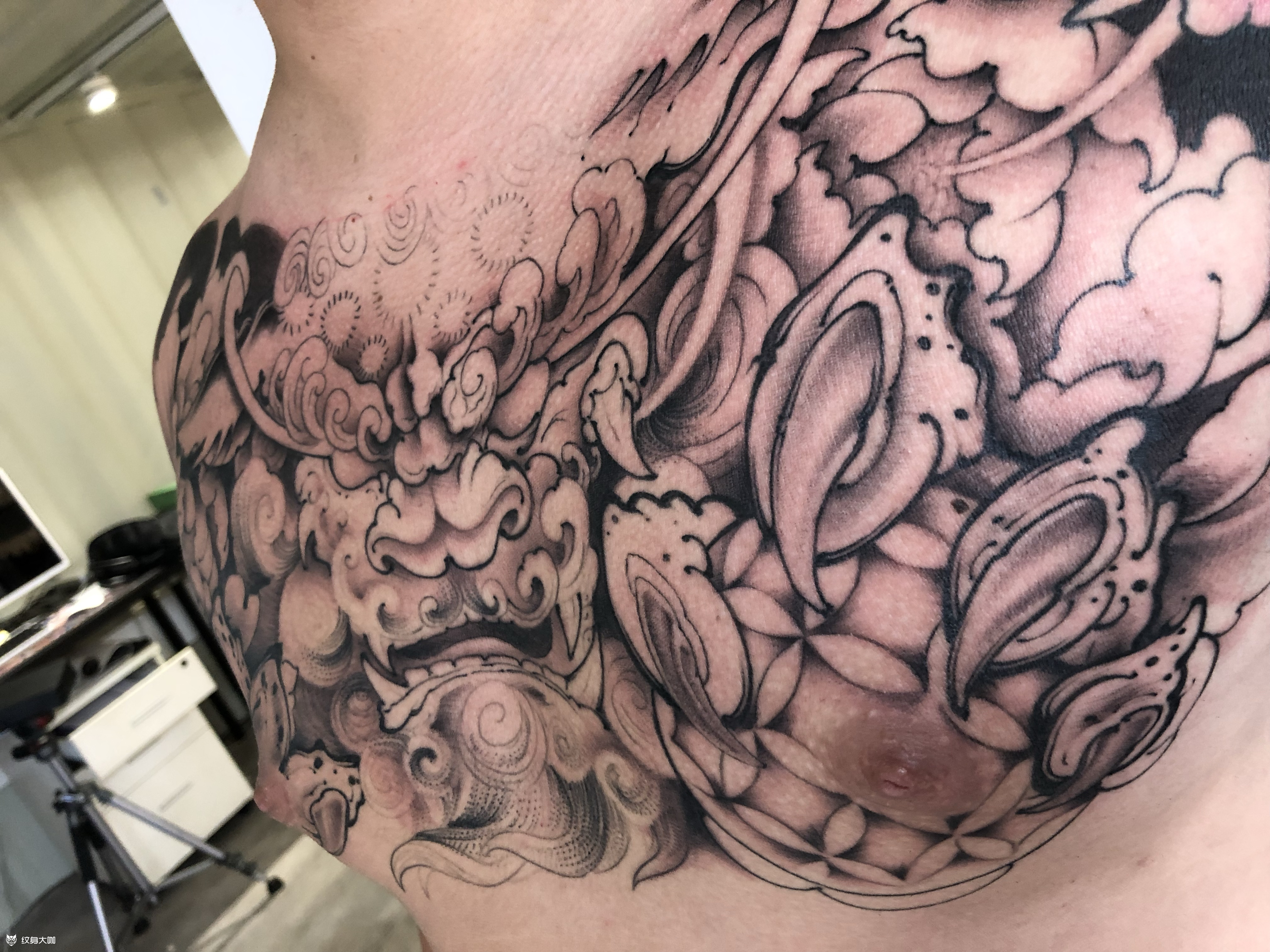 花胸未完下次彩色