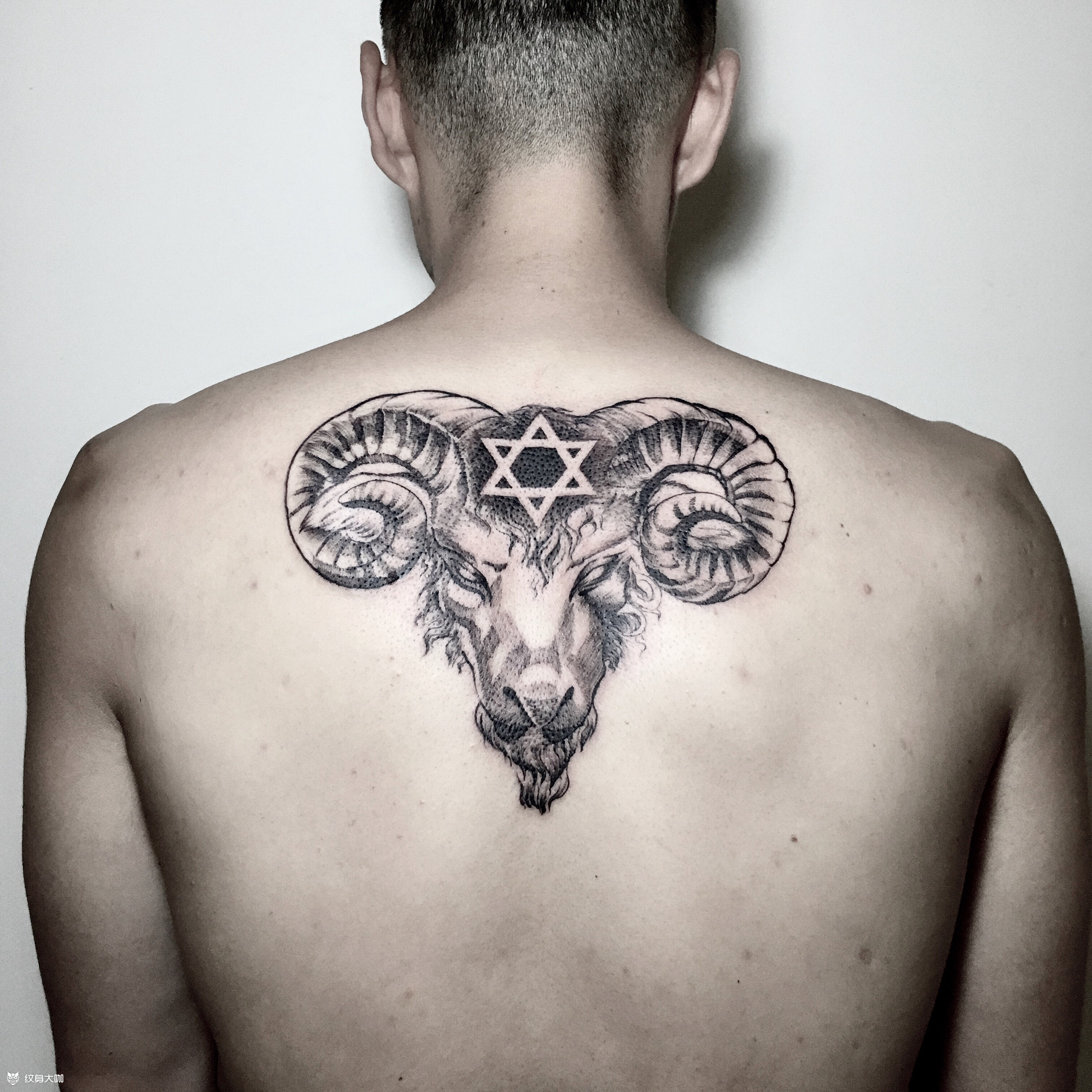 六芒星公羊头_纹身图案手稿图片_镜子的纹身作品集