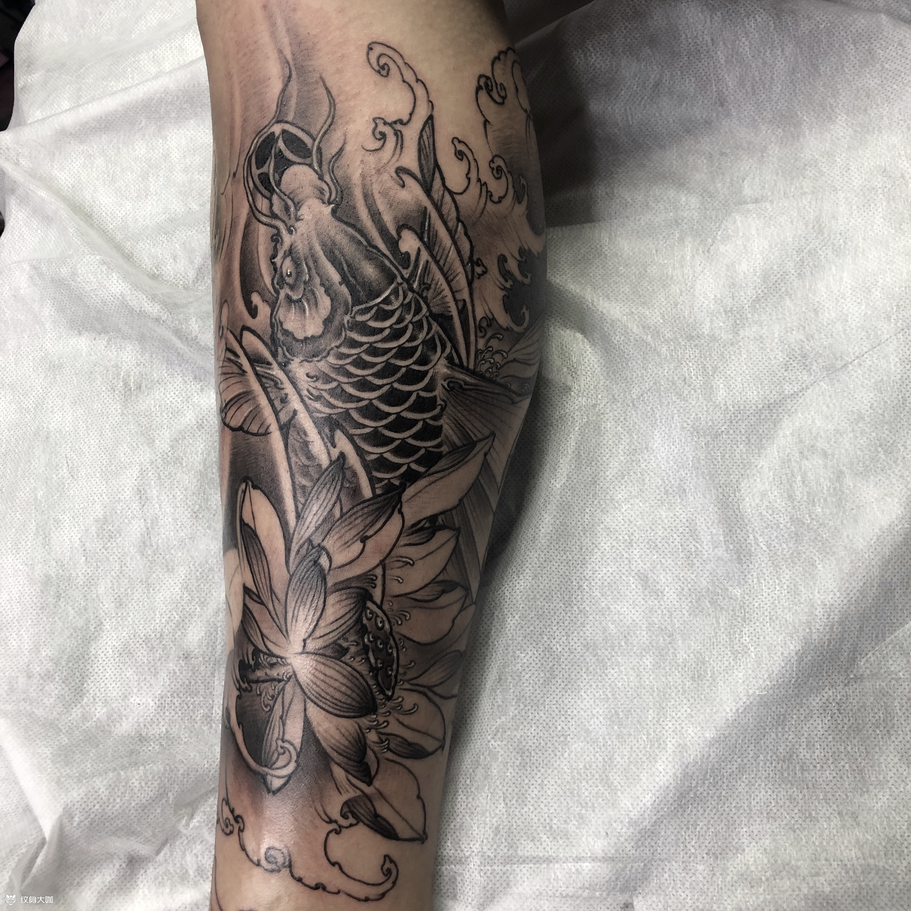 小腿鱼_纹身图案手稿图片_八一的纹身作品集