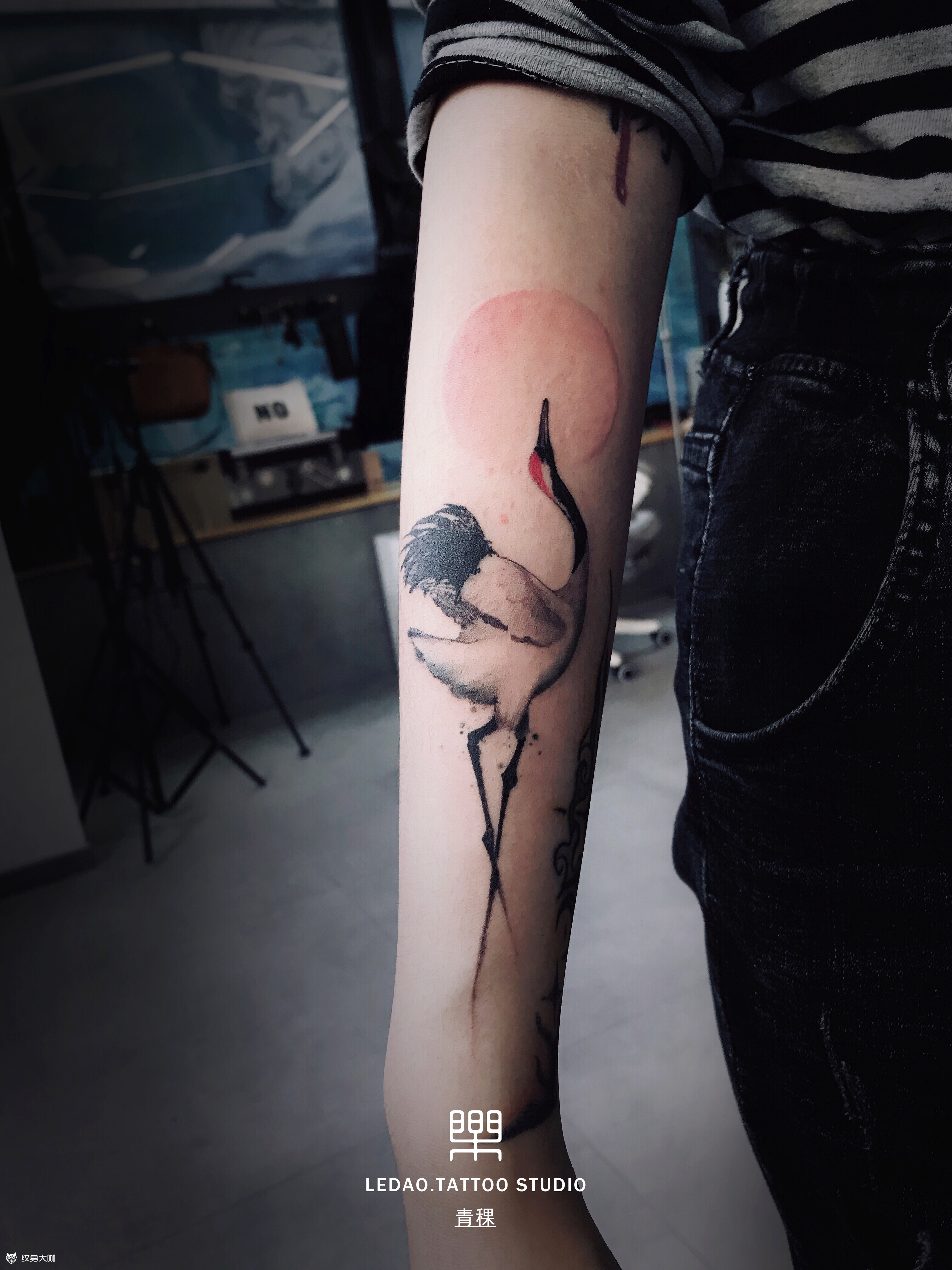 仙鹤_纹身图案手稿图片_青稞的纹身作品集