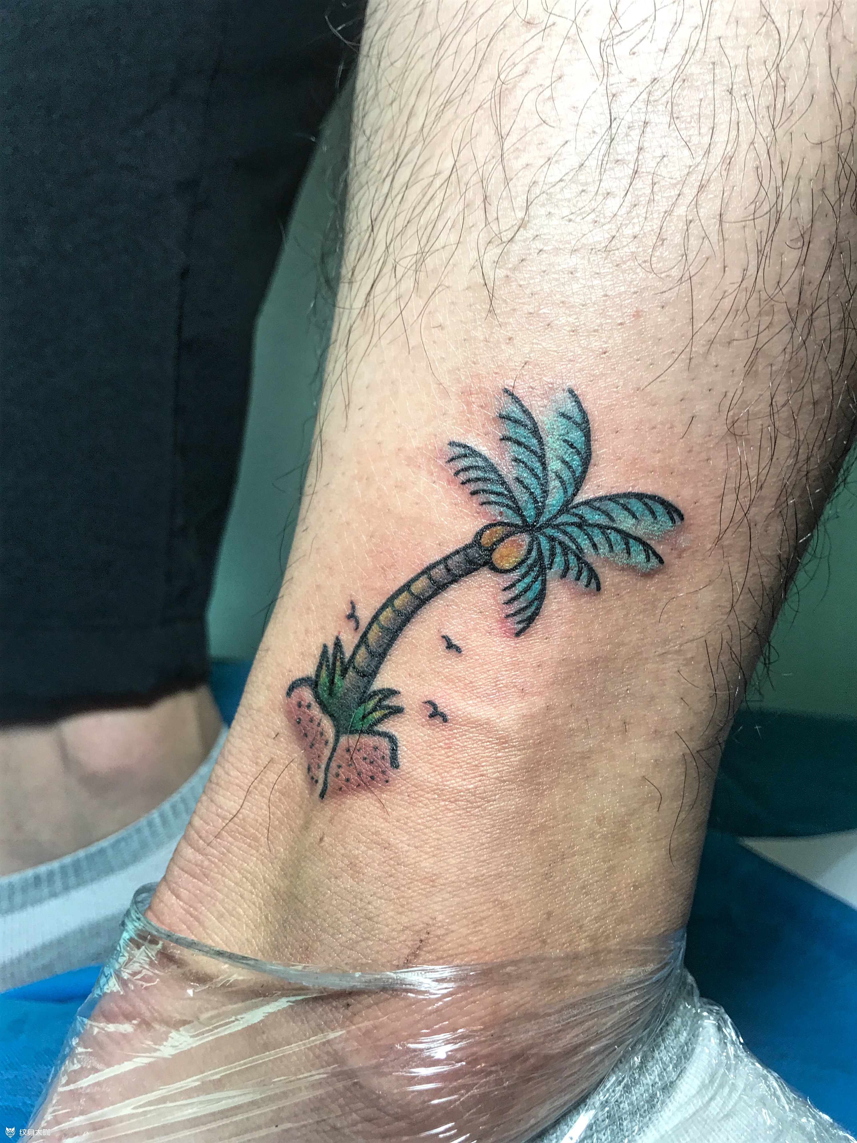 椰子树_纹身图案手稿图片_刘斌的纹身作品集