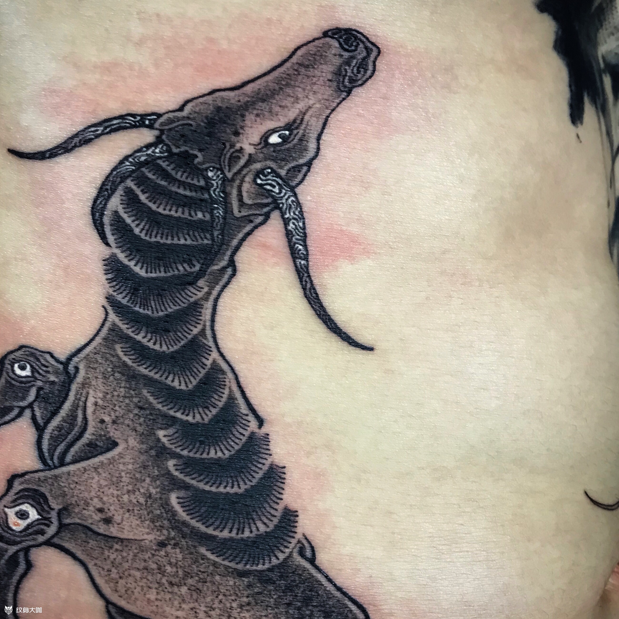 山海经· 峳峳(局部)_纹身图案手稿图片_安童的纹身作品集