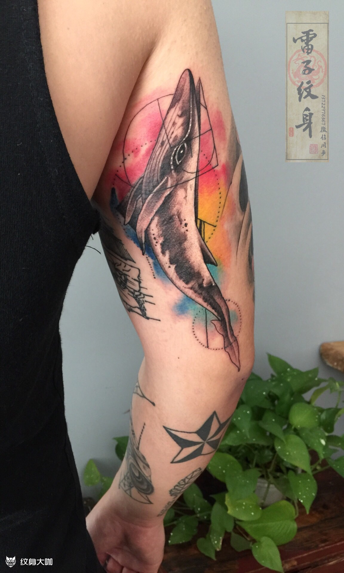 泼墨鲸鱼_纹身图案手稿图片_董志雷的纹身作品集