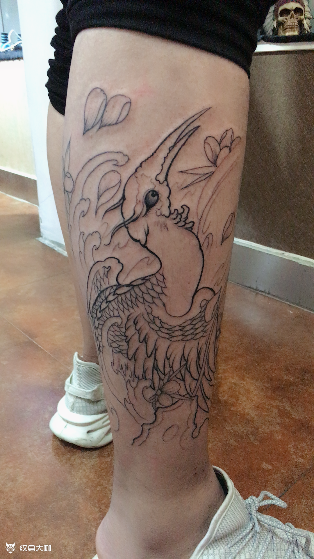 小腿仙鹤_纹身图案手稿图片_帝易——琛的纹身作品集