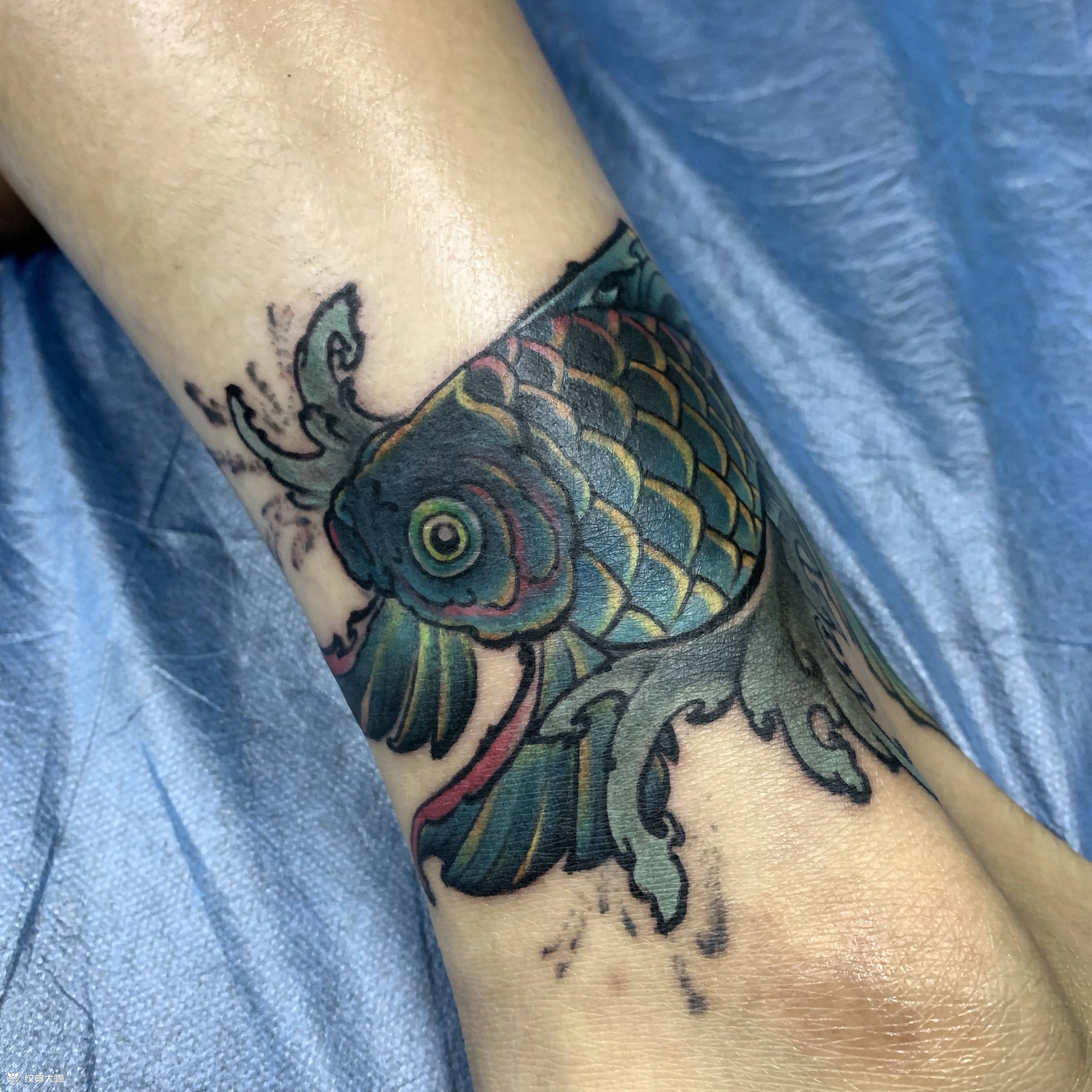 重彩小金鱼遮盖作品