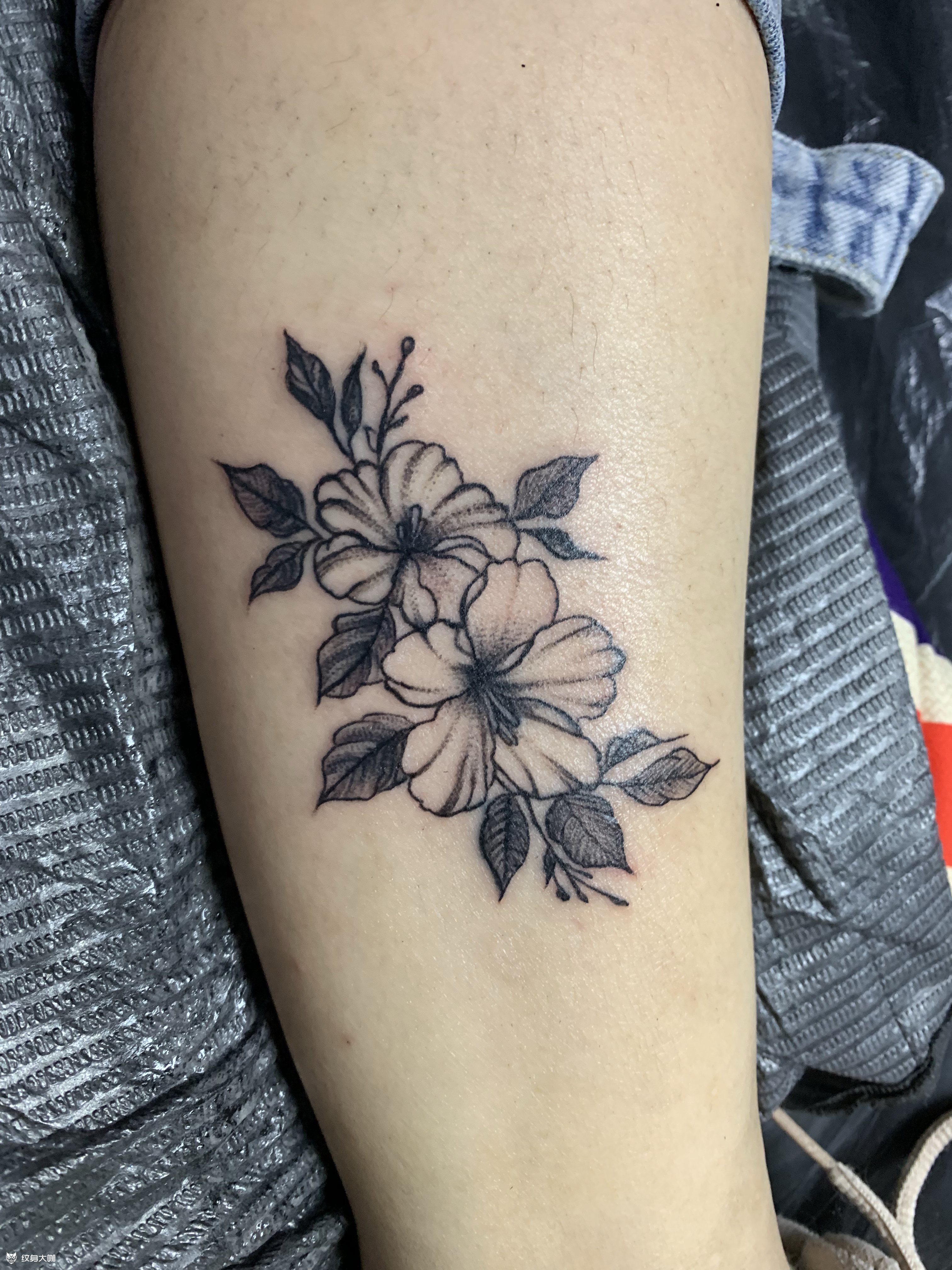 素花_纹身图案手稿图片_希子的纹身作品集