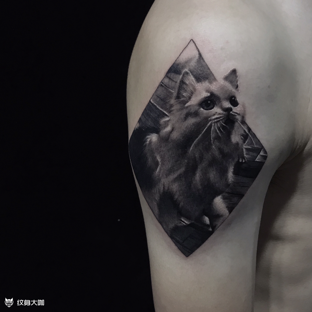 猫咪_纹身图案手稿图片_龙振业的纹身作品集