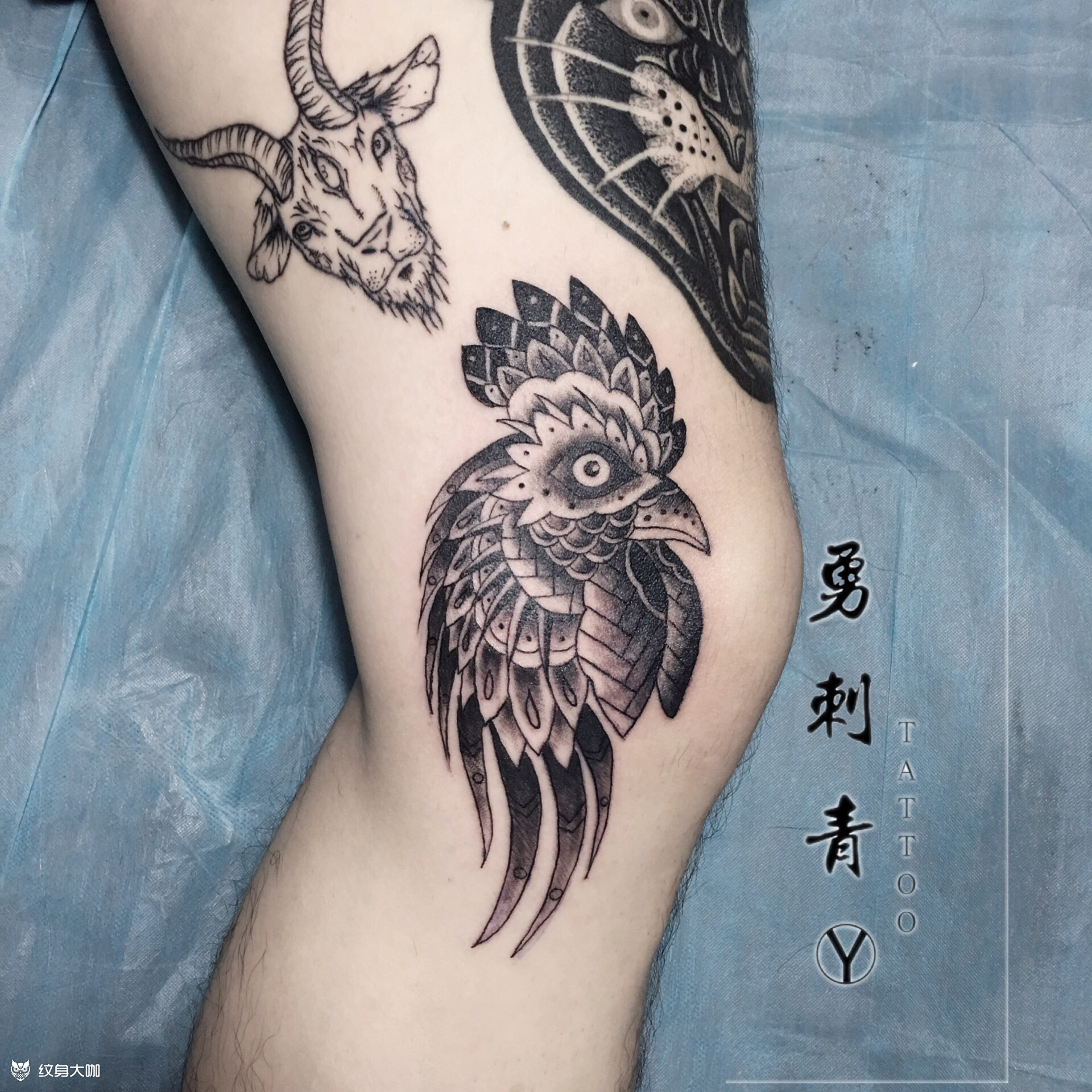 十二生肖之鸡_纹身图案手稿图片_勇,的纹身作品集