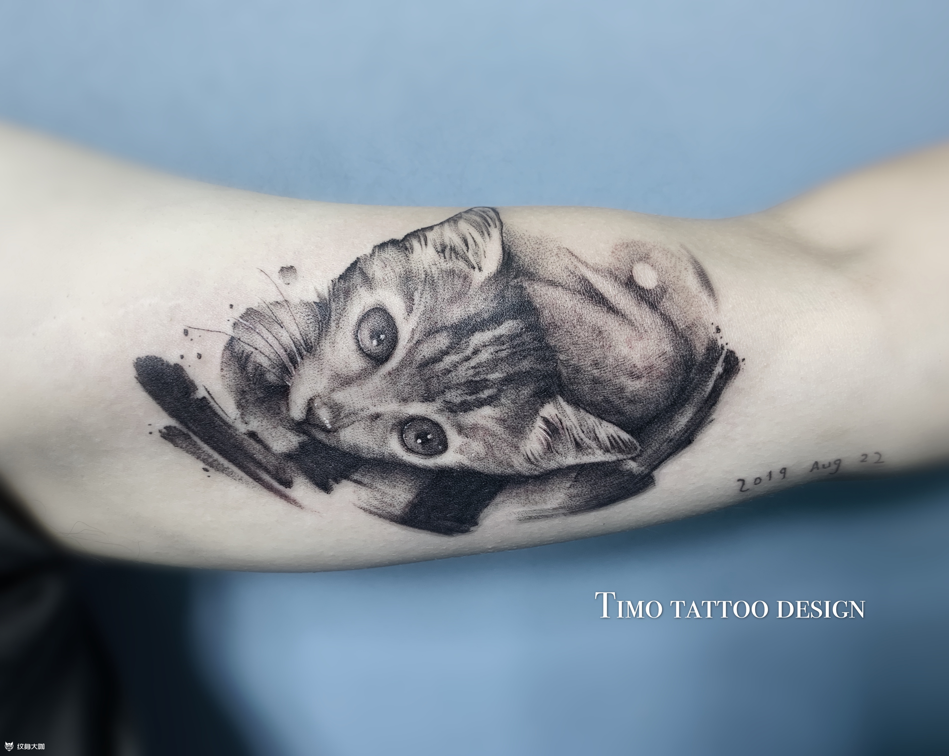 欧美写实小猫_纹身图案手稿图片_阿端的纹身作品集