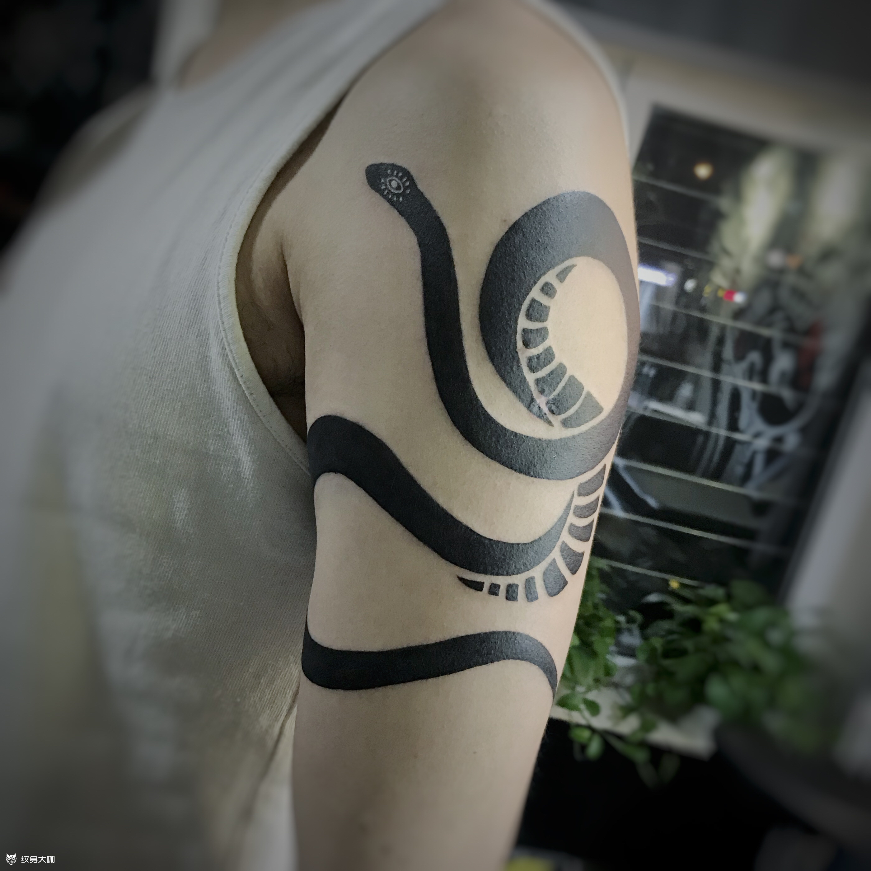 蛇图腾 #蛇图腾 昨日工_纹身吧社区 - 纹身大咖