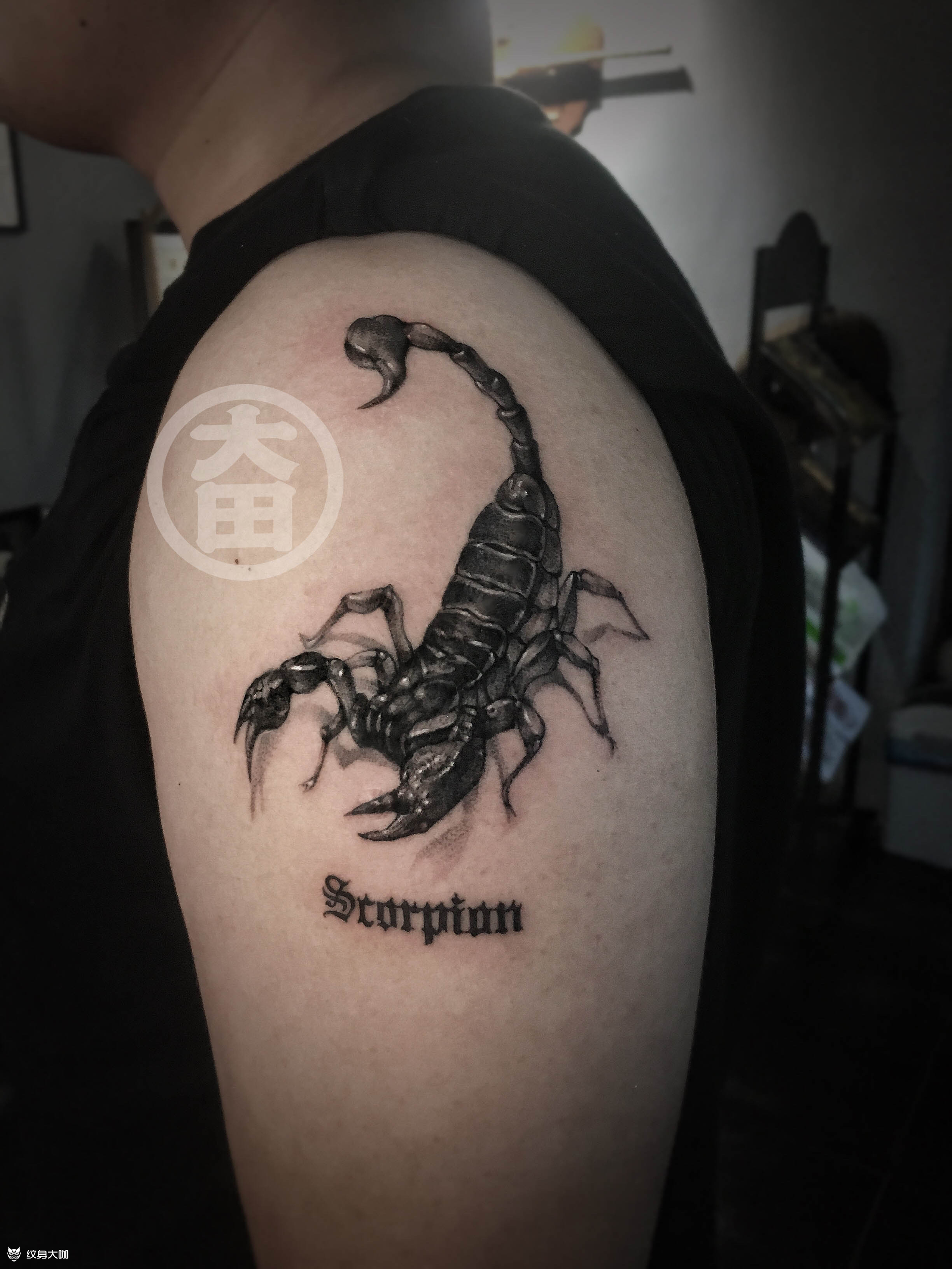 蝎子