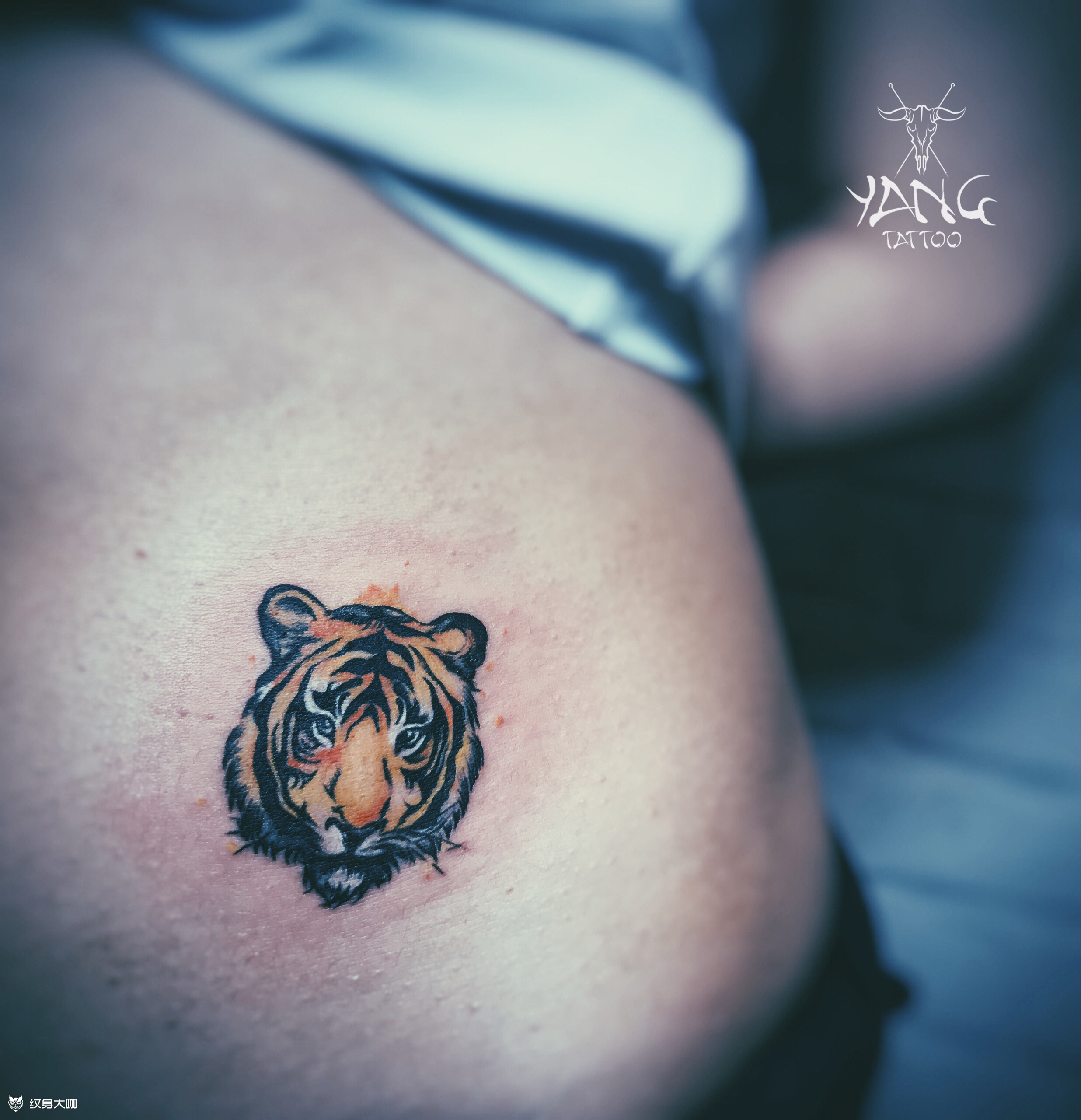 小老虎_纹身图案手稿图片_大楠的纹身作品集