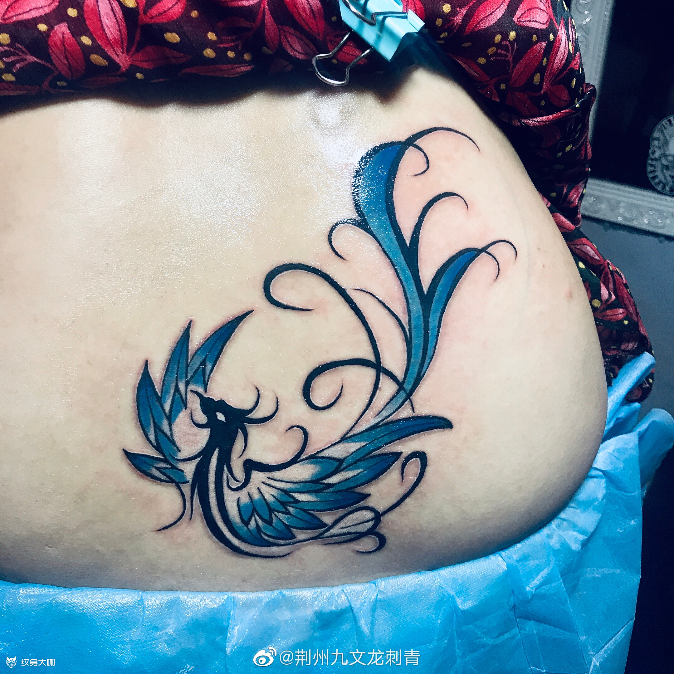 图腾凤凰 完工 下班回家 67_纹身图案手稿图片_王路的纹身作品集