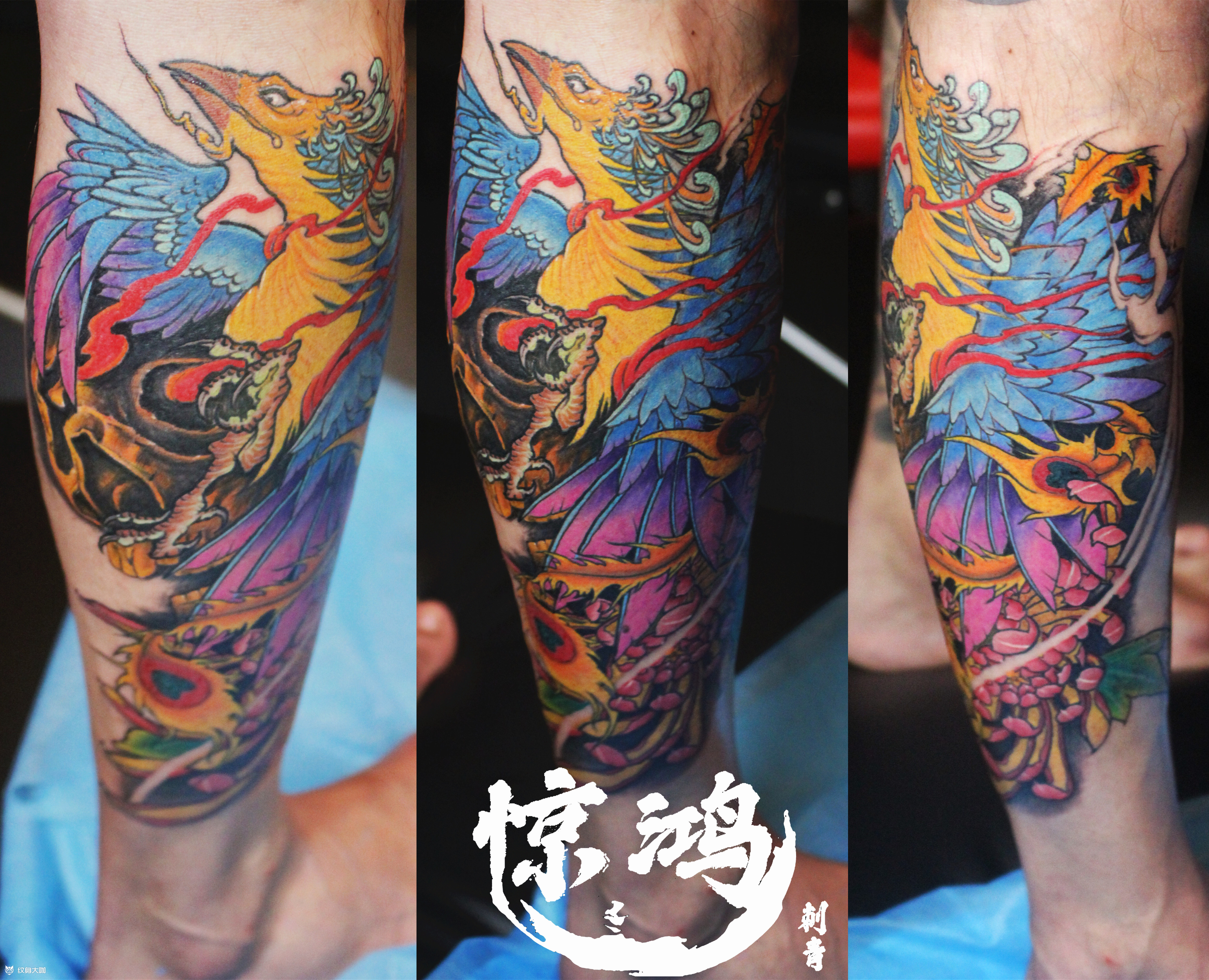 小腿凤凰_纹身图案手稿图片_梦游的纹身作品集