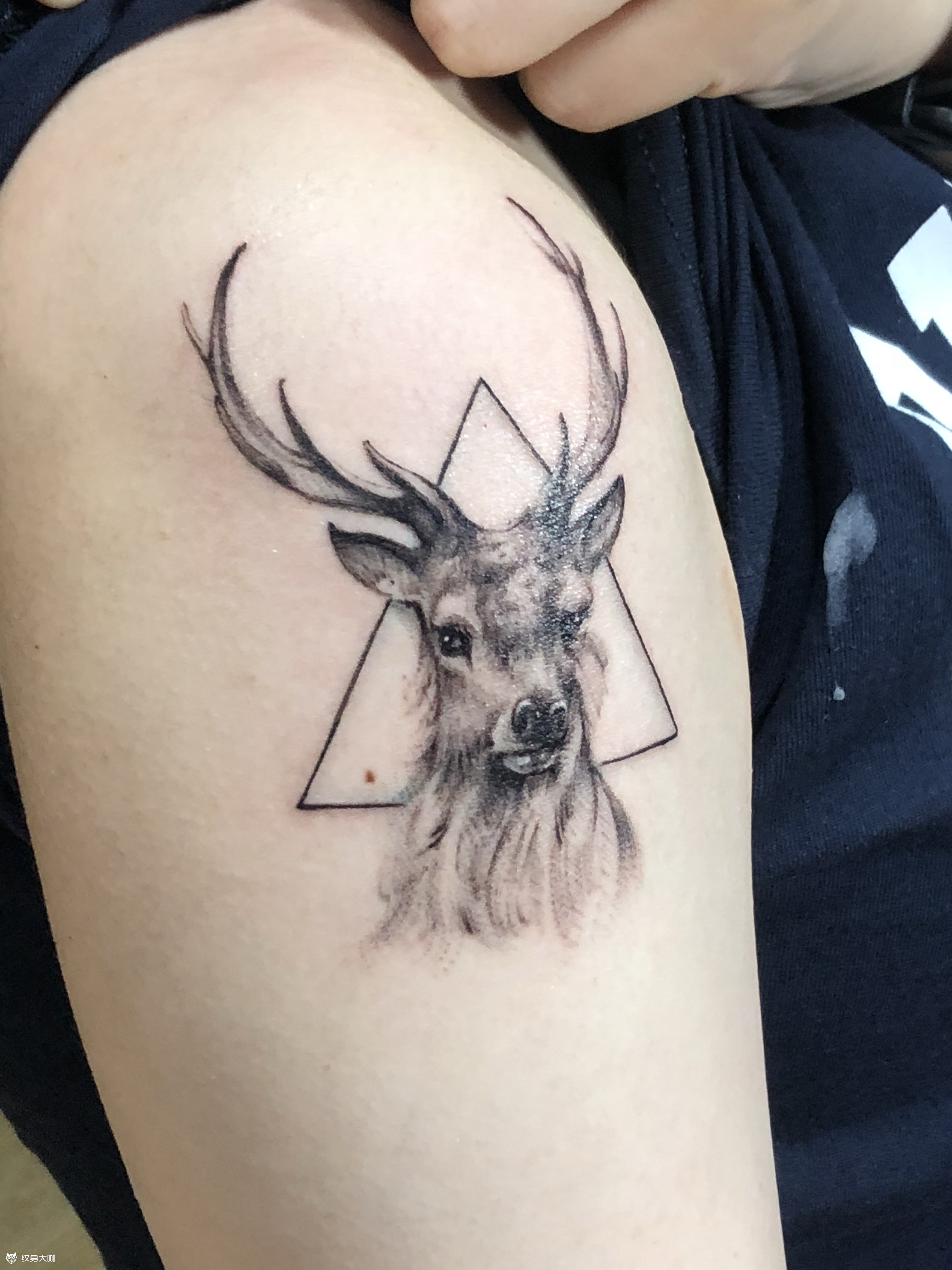 鹿_纹身图案手稿图片_阿敏的纹身作品集