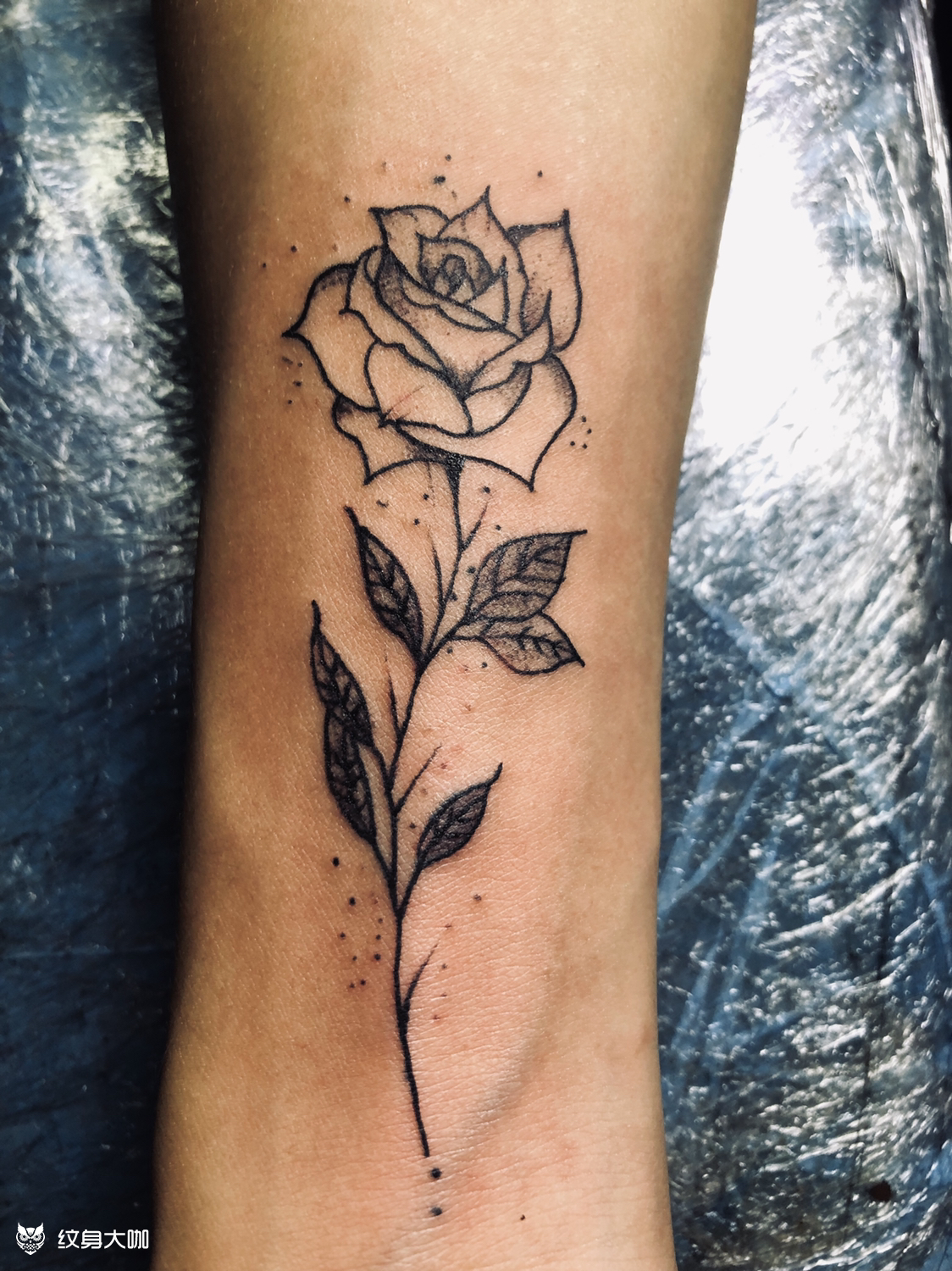 玫瑰花_纹身图案手稿图片_chen555855555353的纹身作品集
