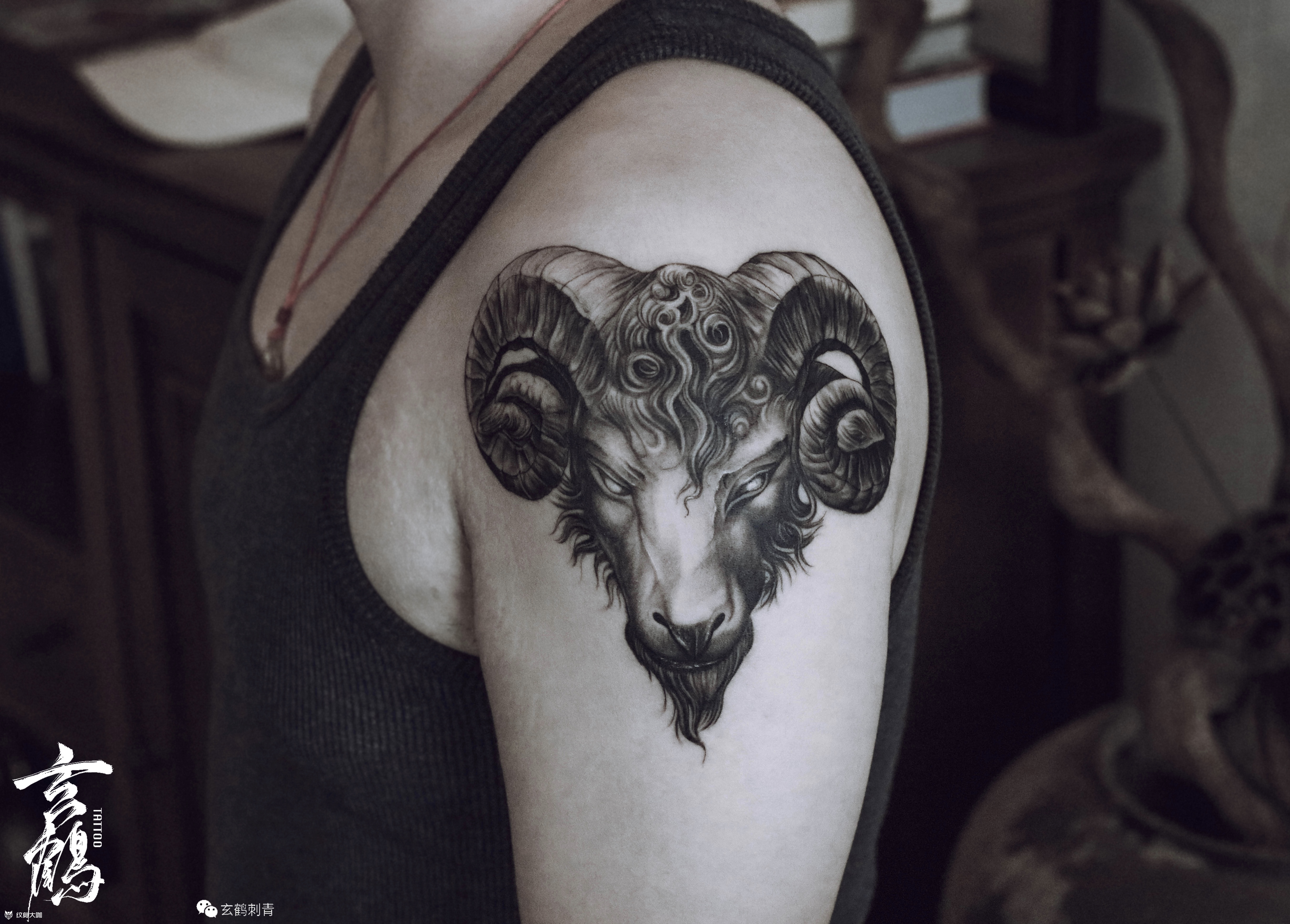 羊头_纹身图案手稿图片_子枫的纹身作品集