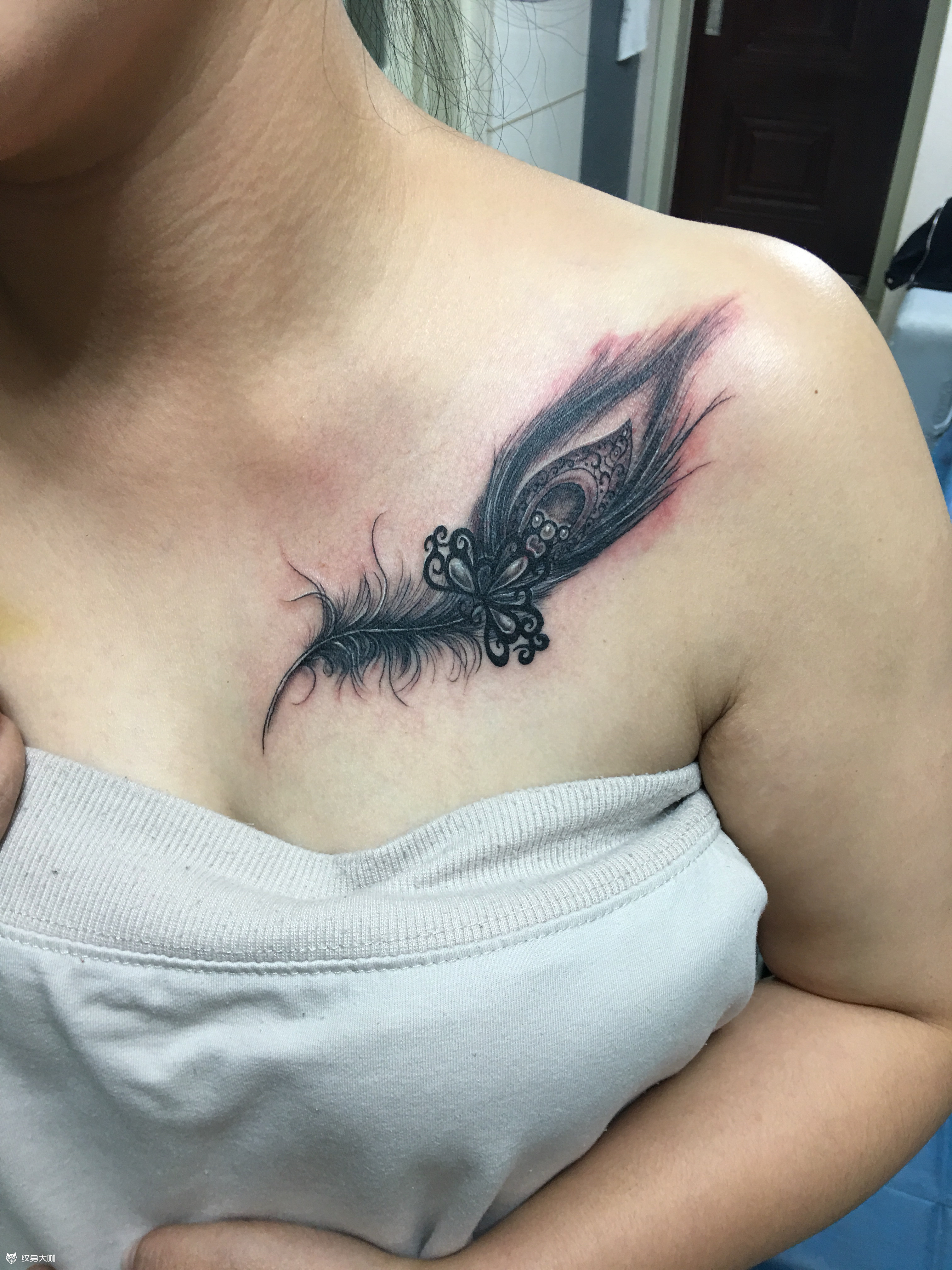 羽毛 遮盖_纹身图案手稿图片_舒昶的纹身作品集