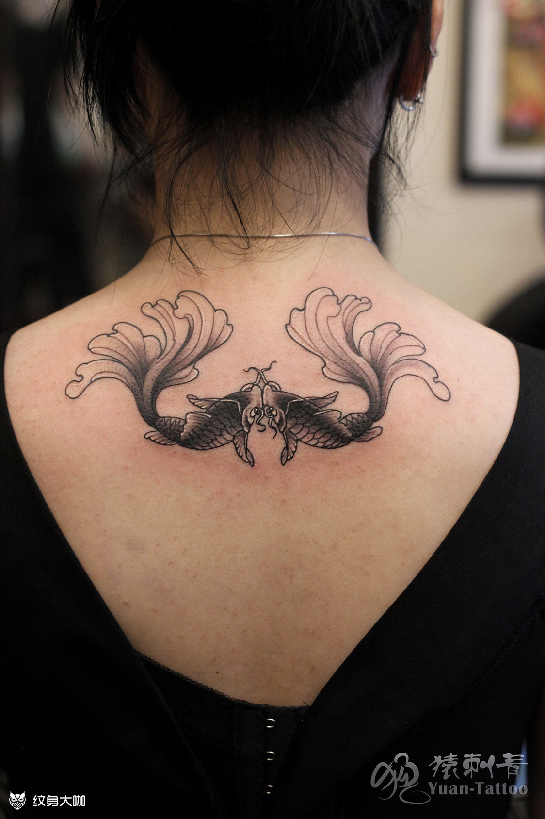 双鱼_纹身图案手稿图片_袁继波的纹身作品集
