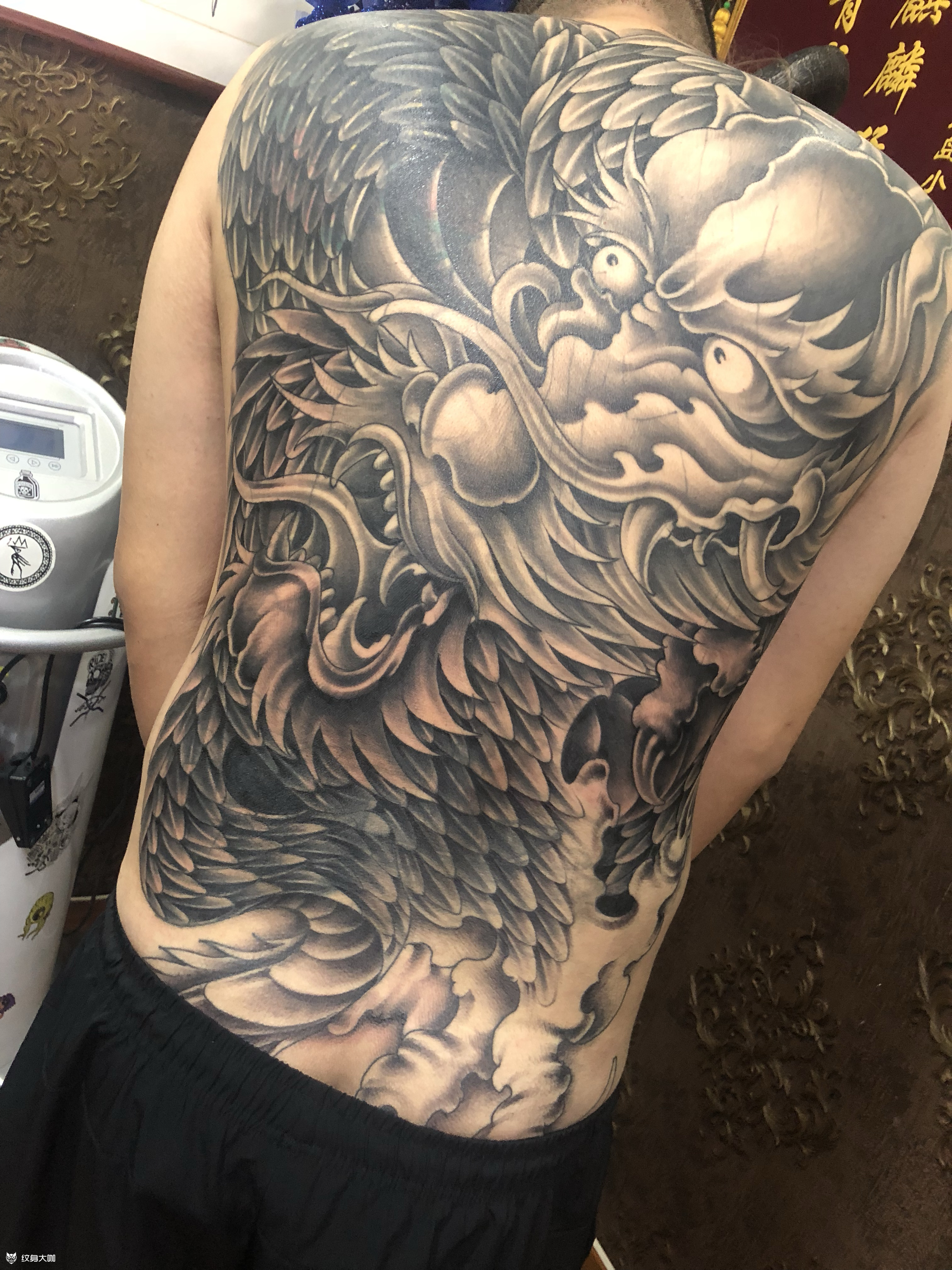 霸王龙_纹身图案手稿图片_小涛的纹身作品集