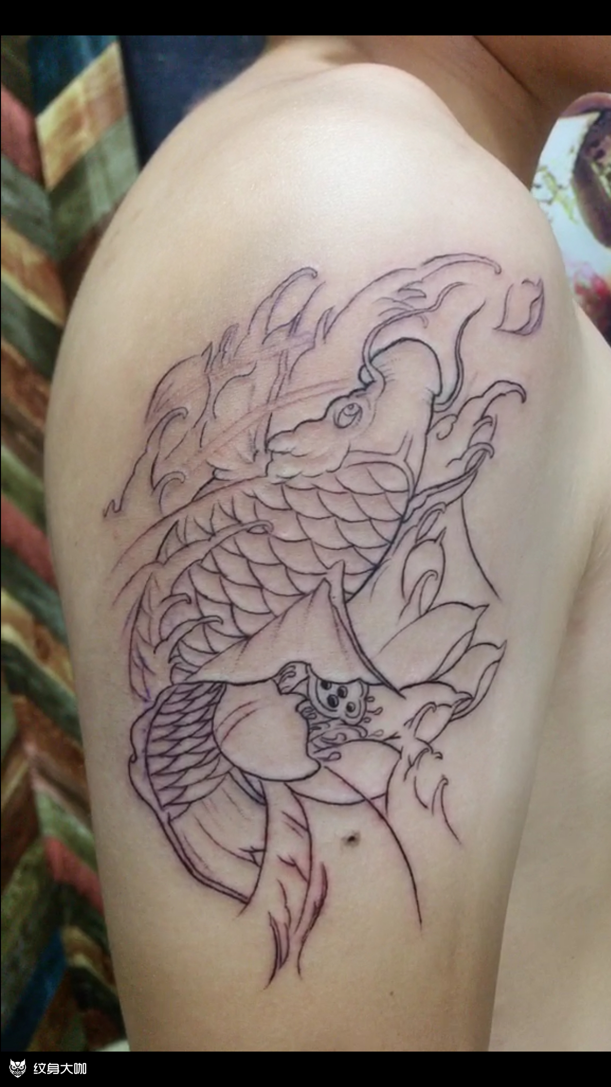 小鲤鱼线条_纹身图案手稿图片_凡歌的纹身作品集
