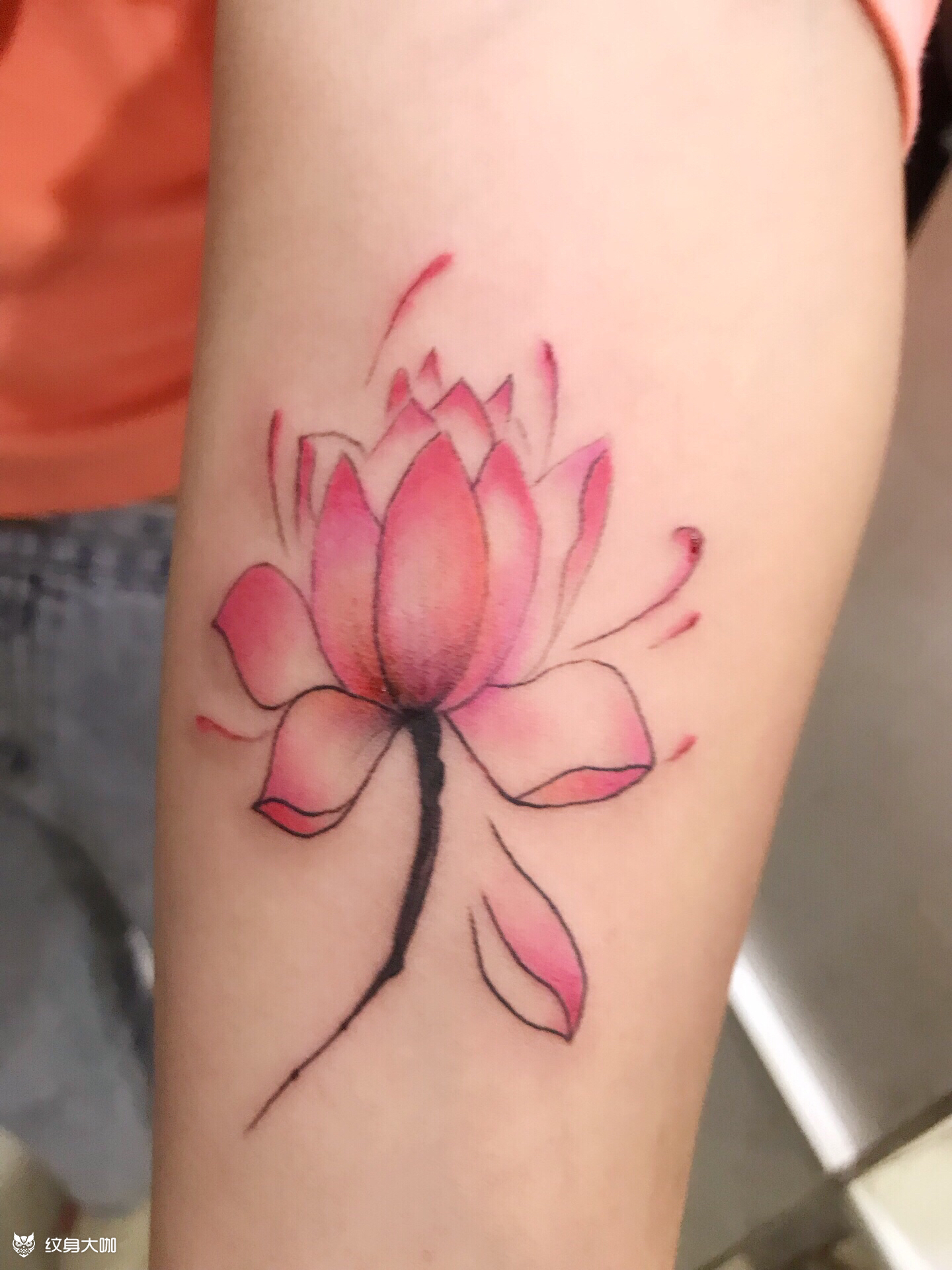 荷花_纹身图案手稿图片_飞扬阿德的纹身作品集