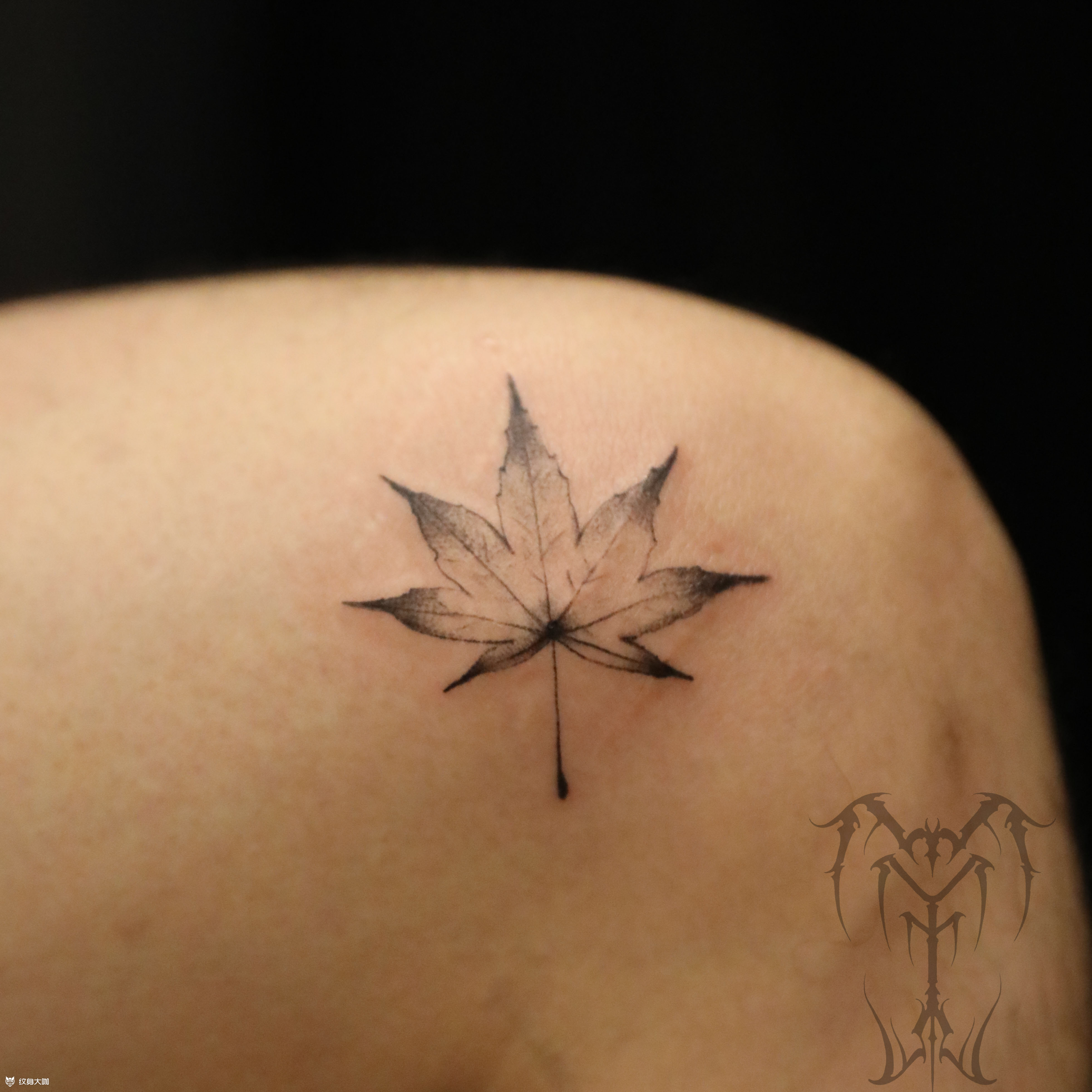 淡墨枫叶93_纹身图案手稿图片_文墨坊001的纹身作品集