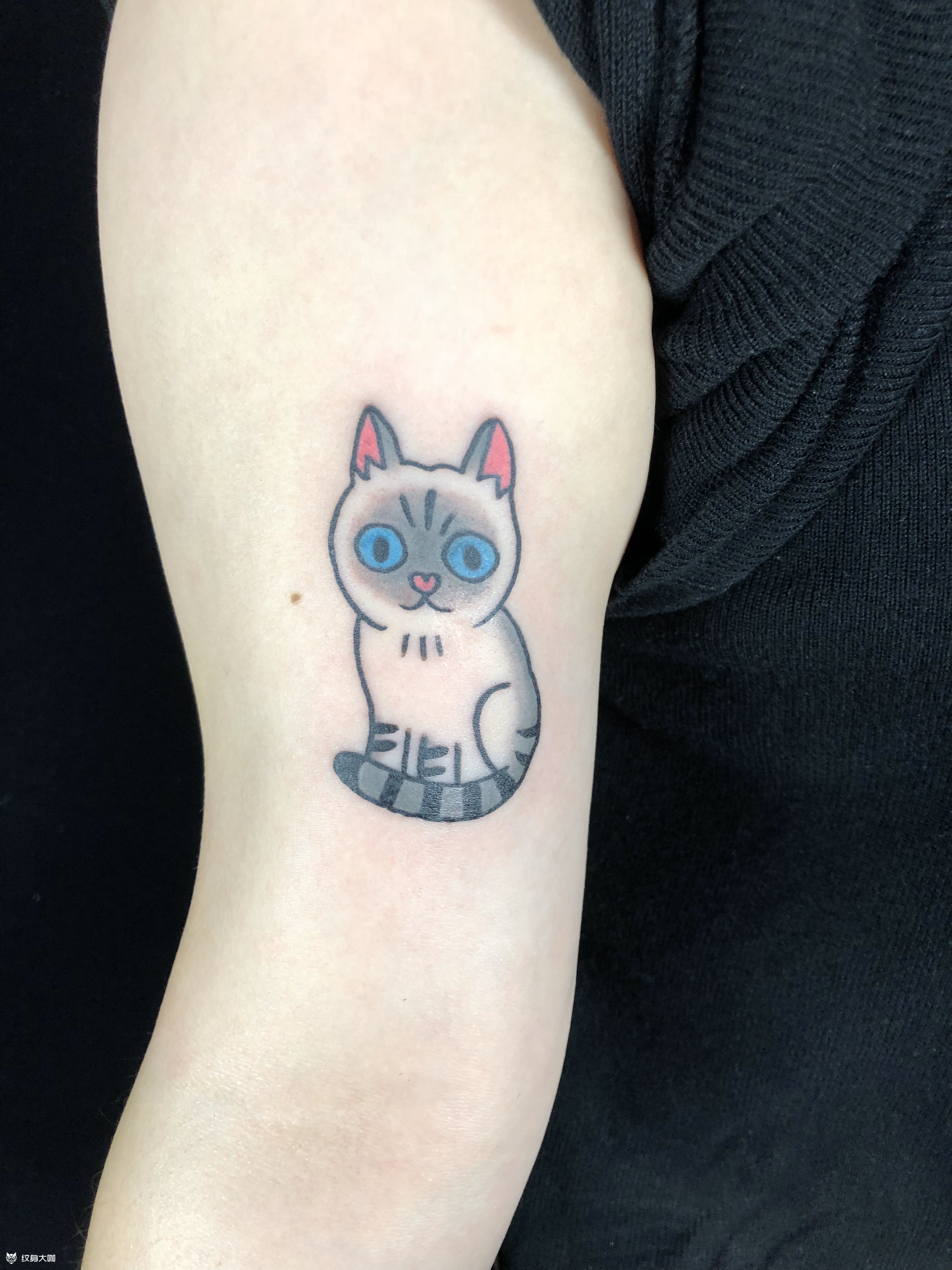 小可爱 猫_纹身图案手稿图片_十九的纹身作品集