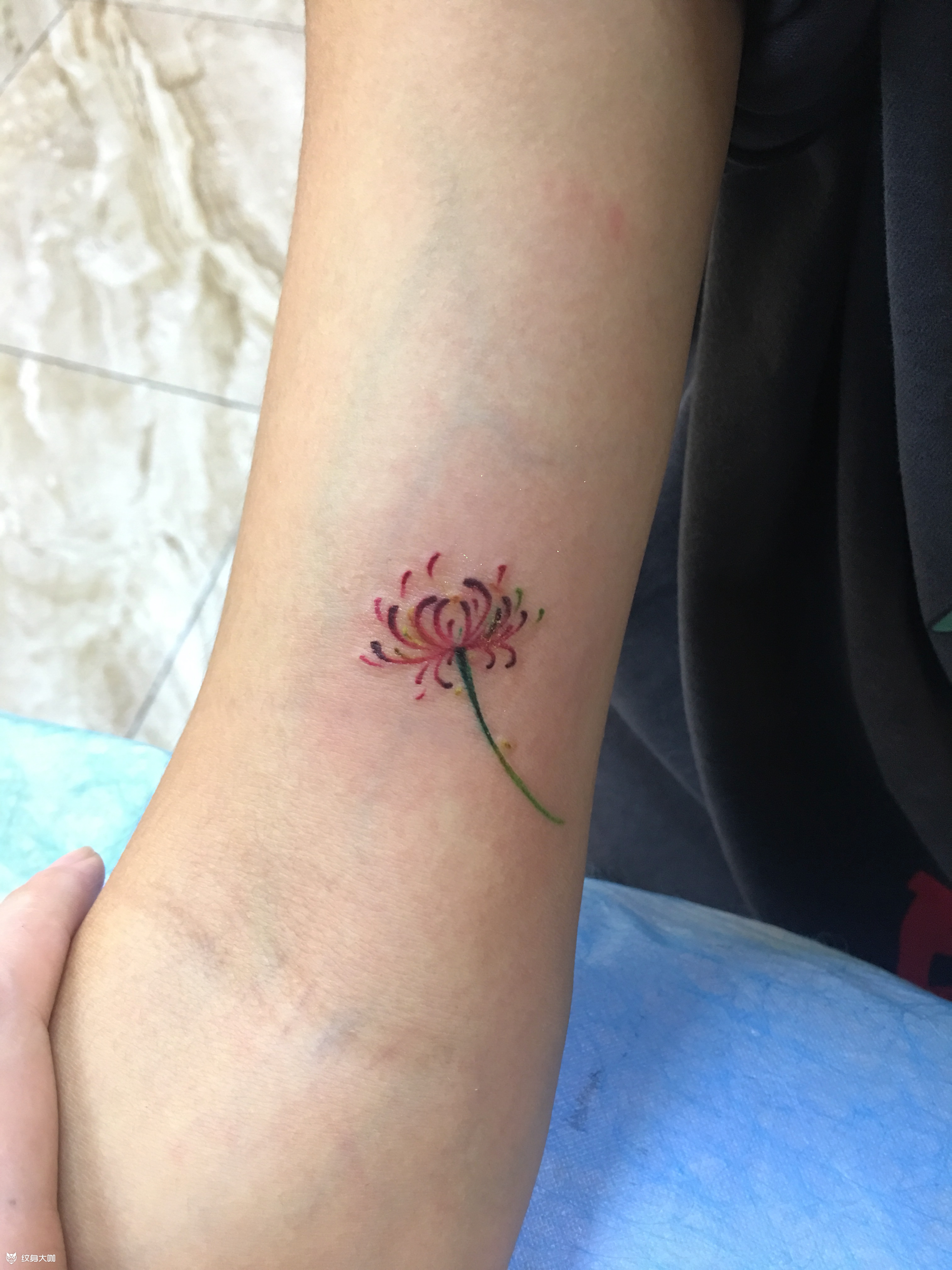 彼岸花_纹身图案手稿图片_方义春的纹身作品集